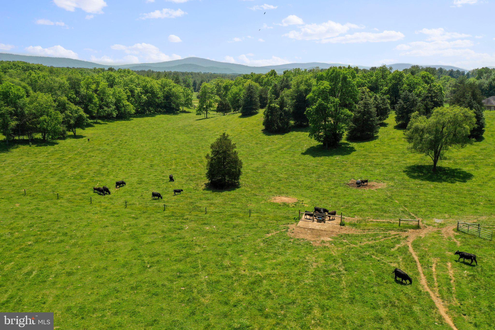 NONE AVAILABLE - Land