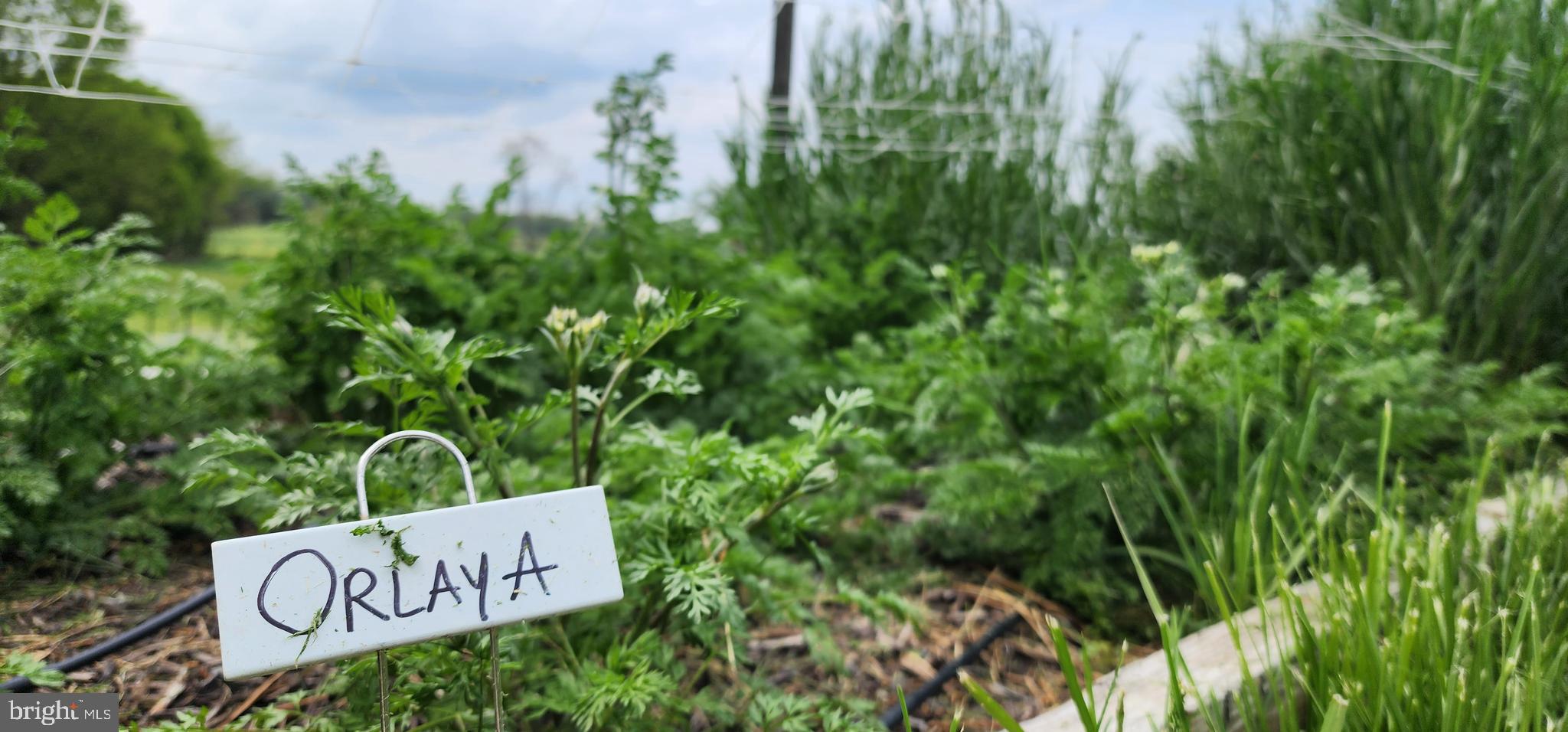 NONE AVAILABLE - Land