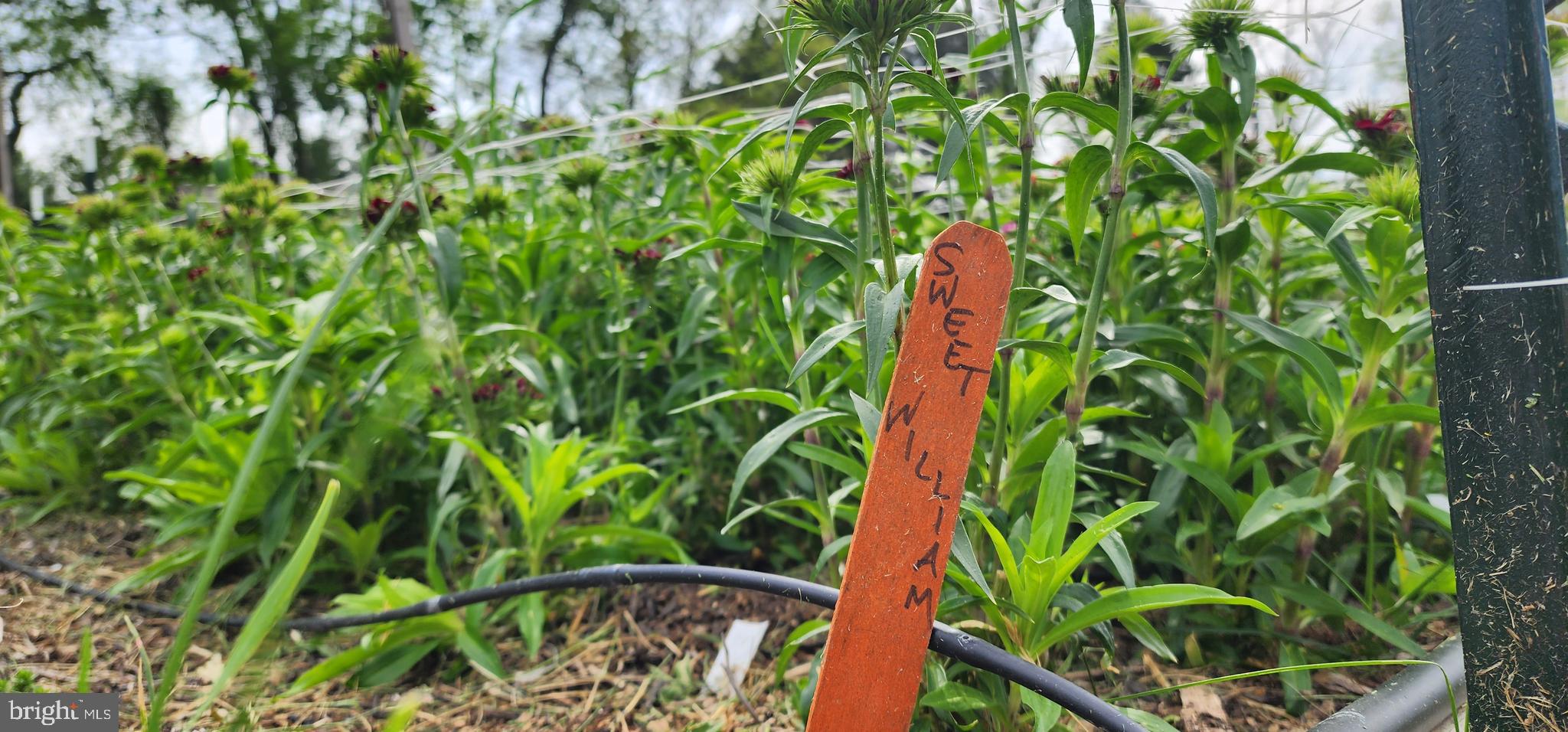 NONE AVAILABLE - Land