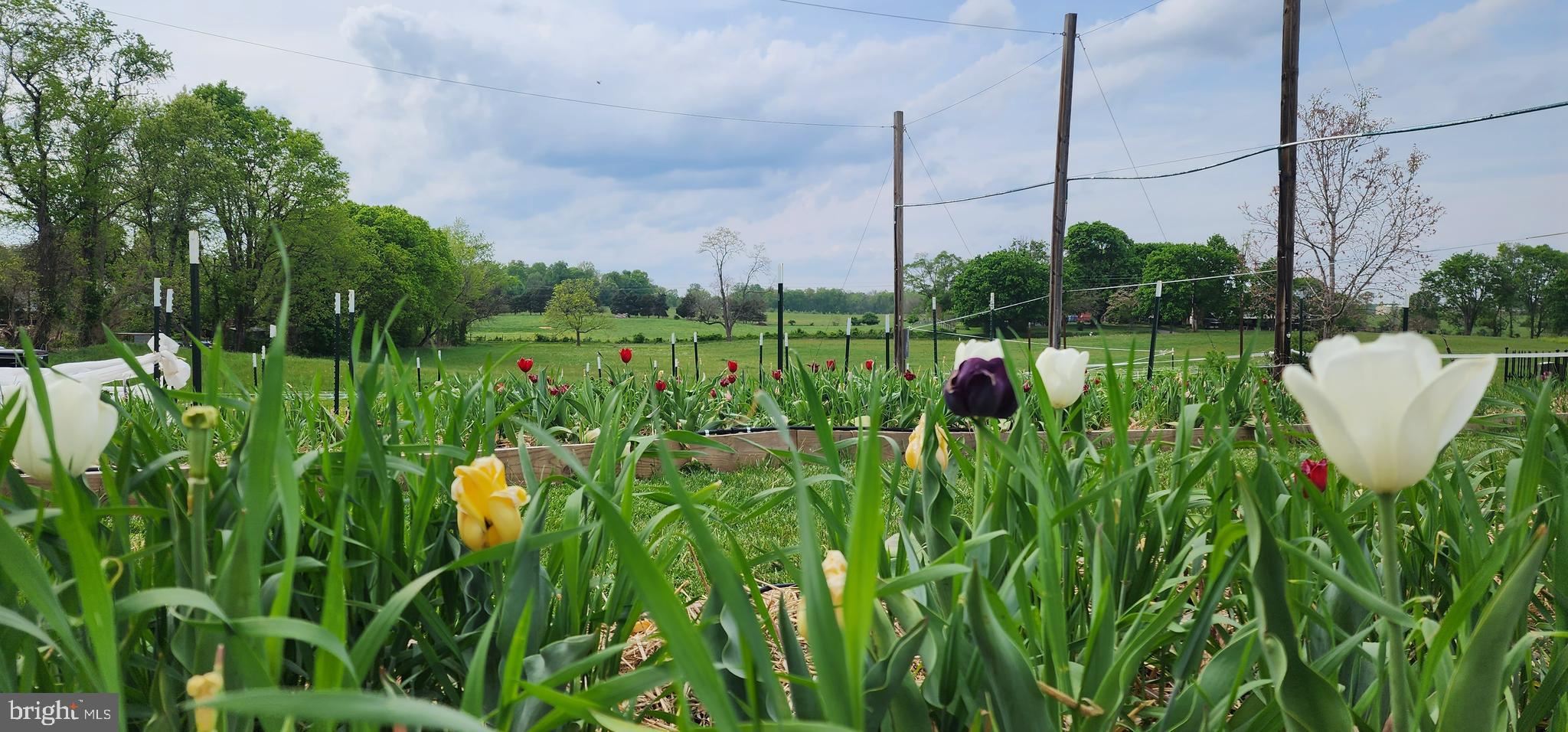 NONE AVAILABLE - Land