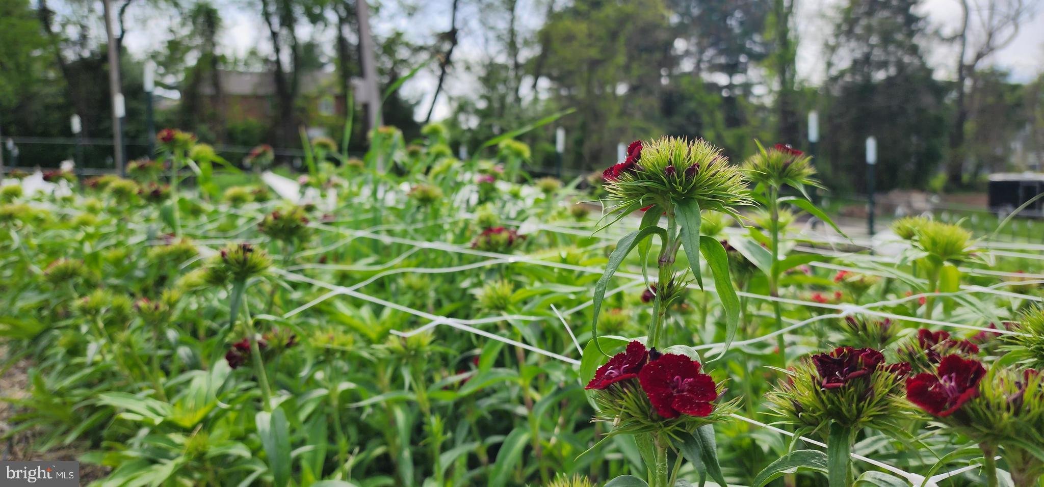 NONE AVAILABLE - Land