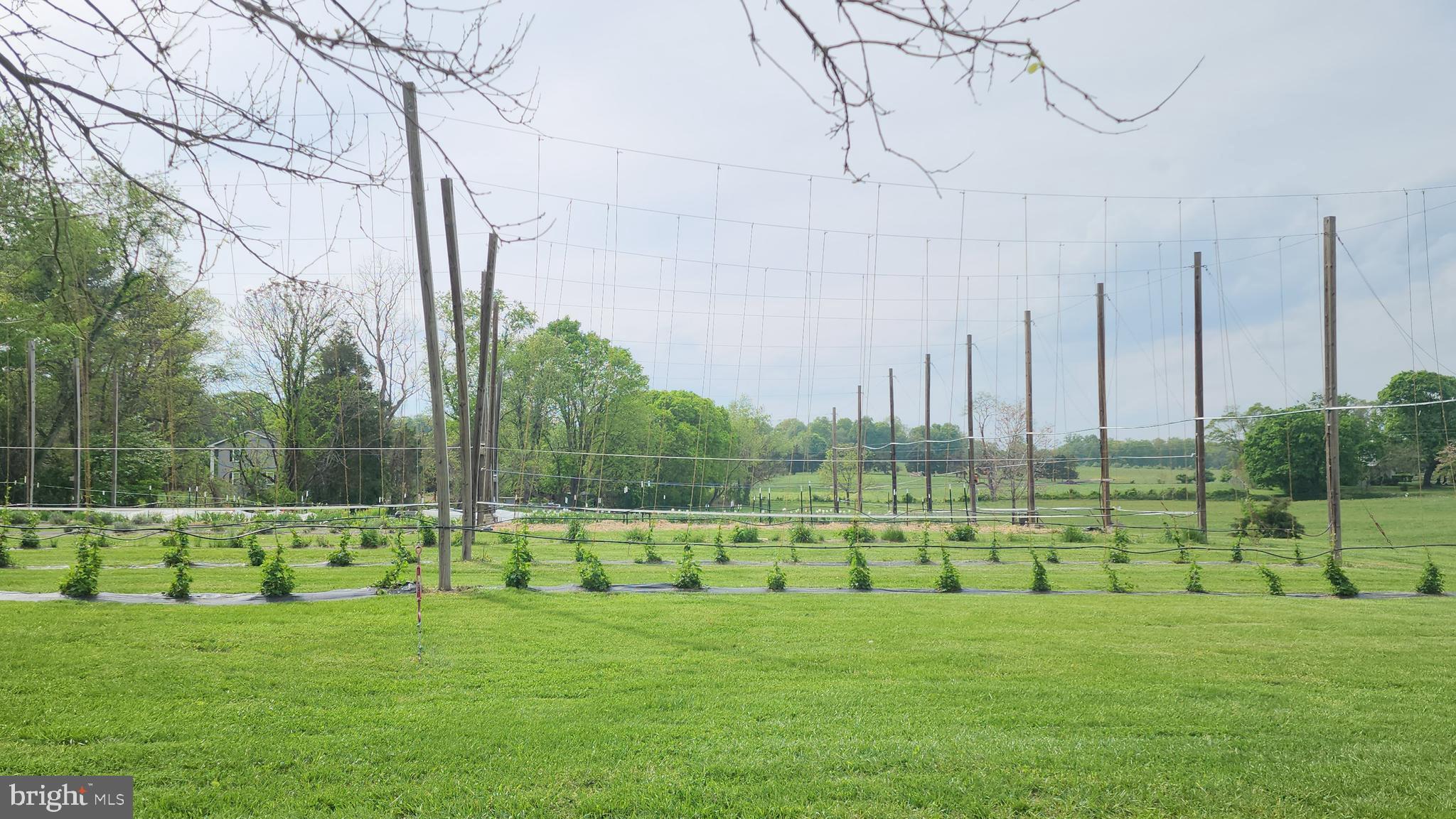 NONE AVAILABLE - Land