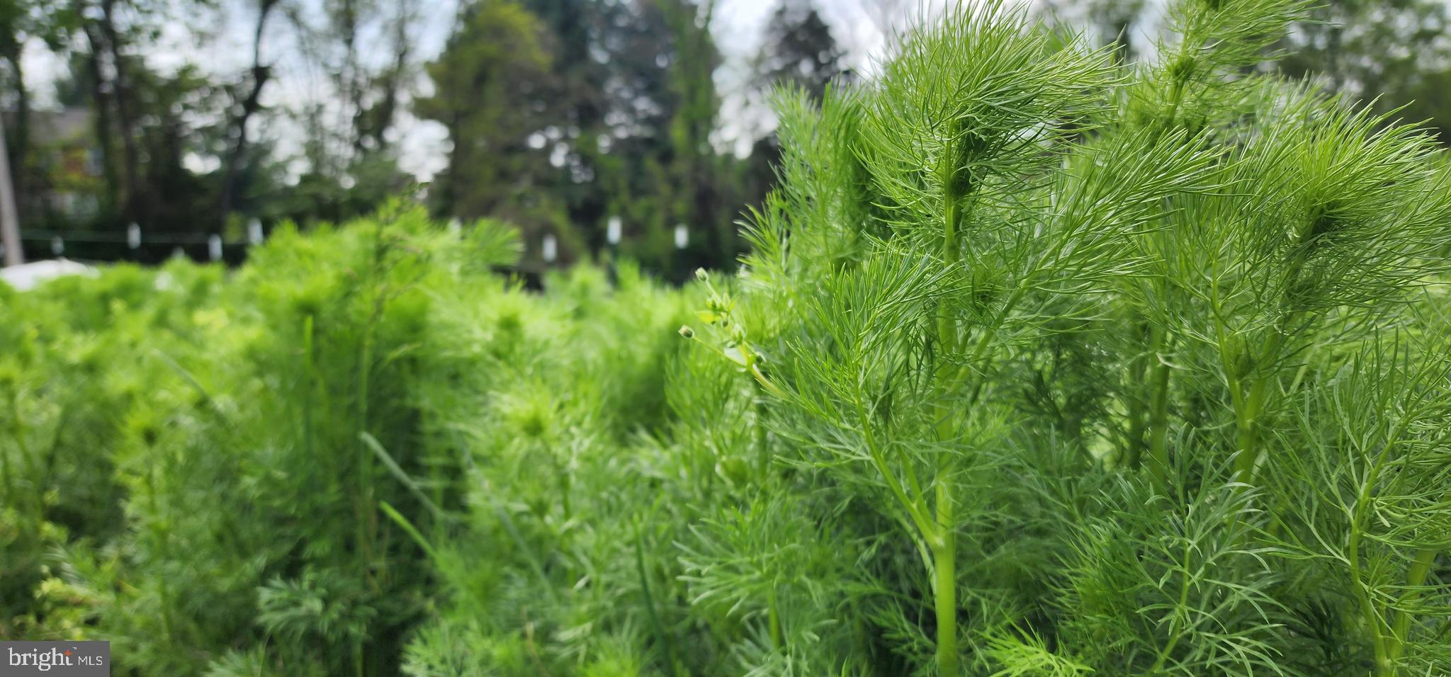 NONE AVAILABLE - Land