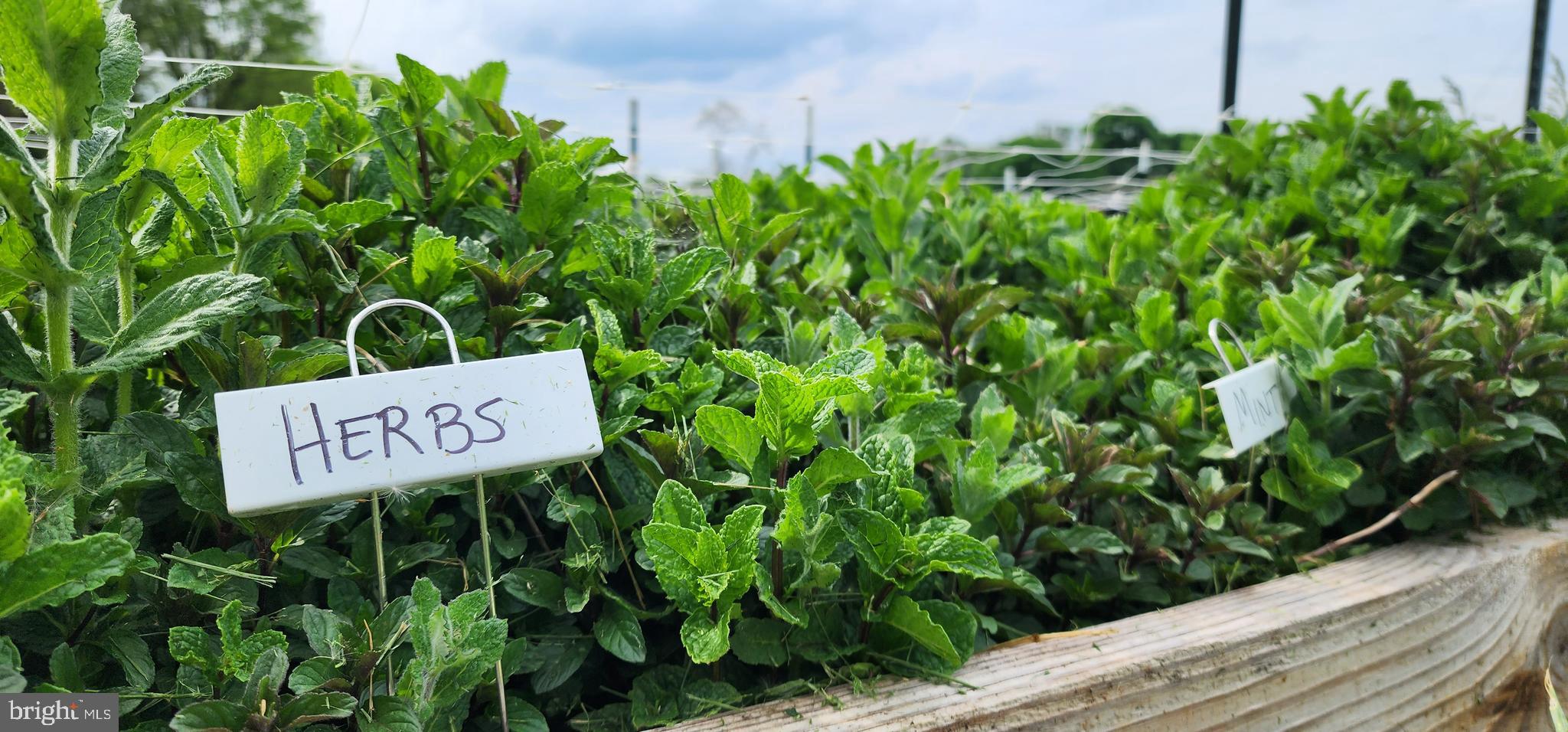 NONE AVAILABLE - Land