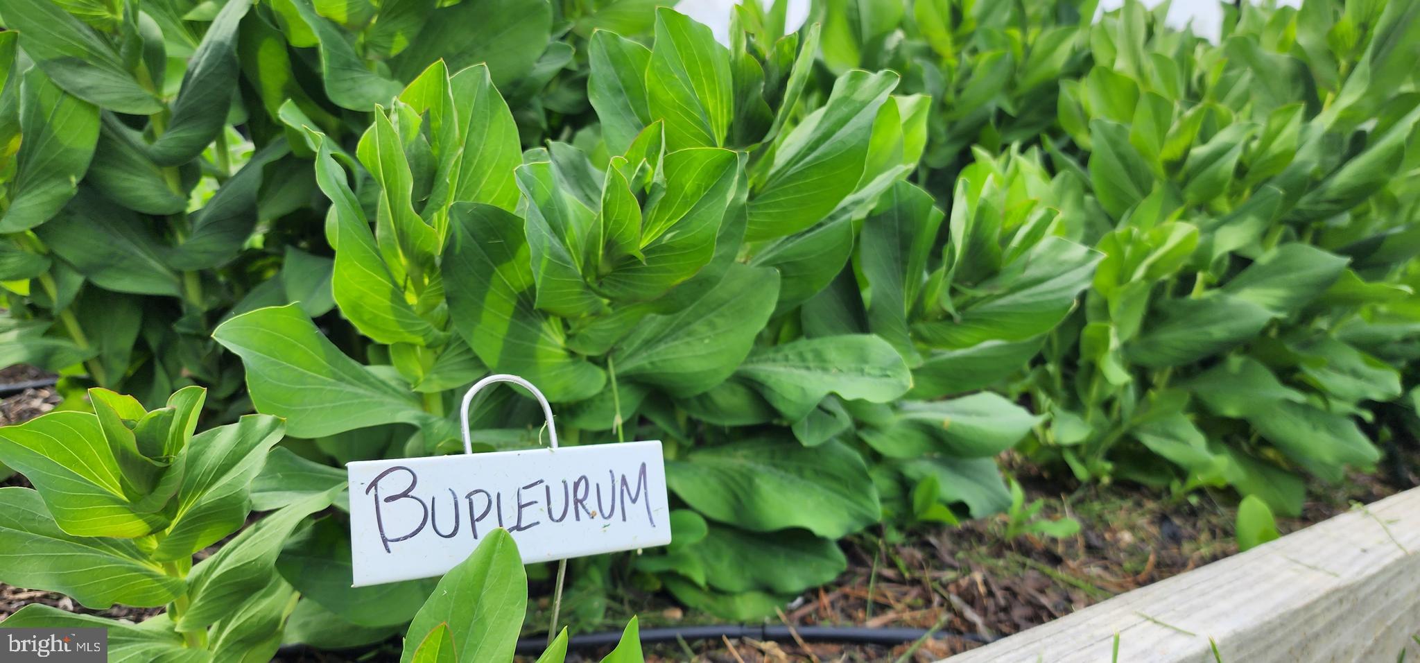 NONE AVAILABLE - Land