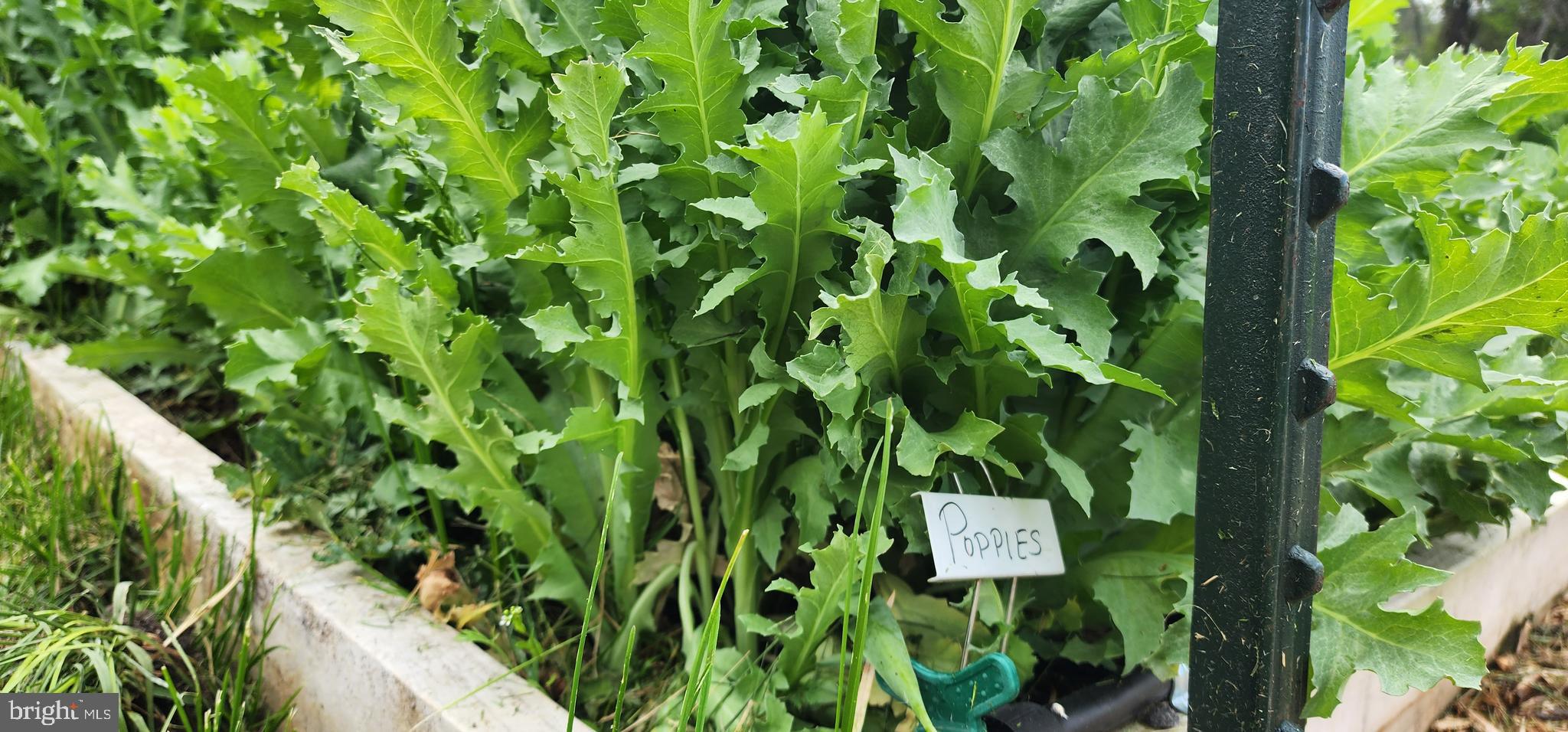 NONE AVAILABLE - Land