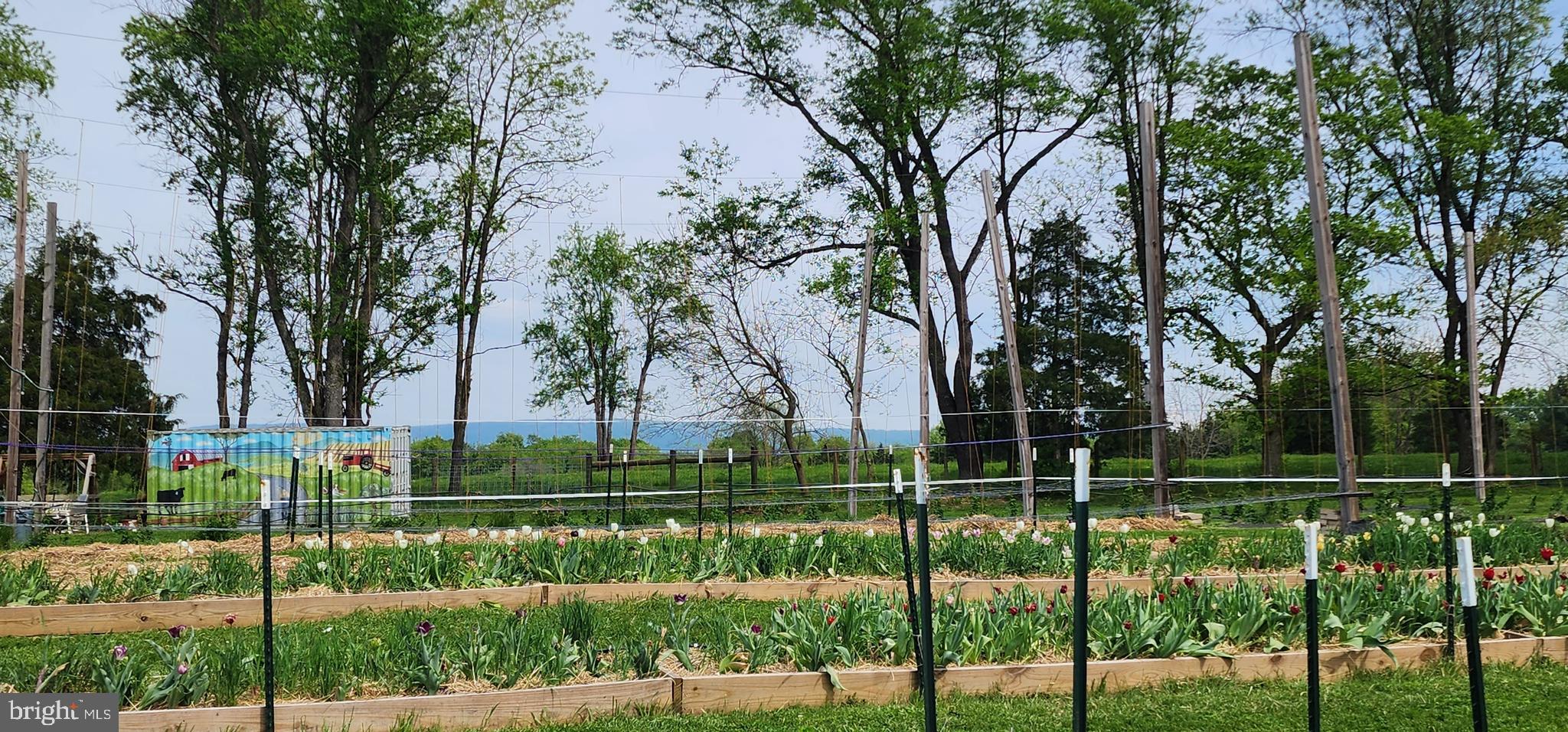 NONE AVAILABLE - Land