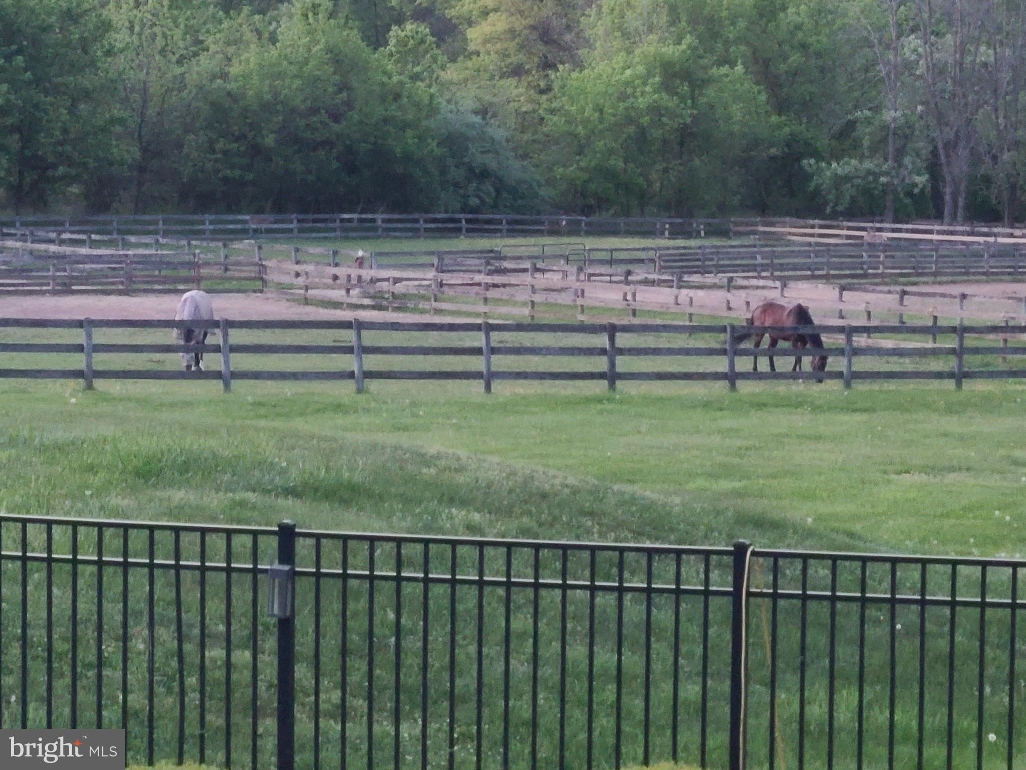 WORTHINGTON MILL F - Residential