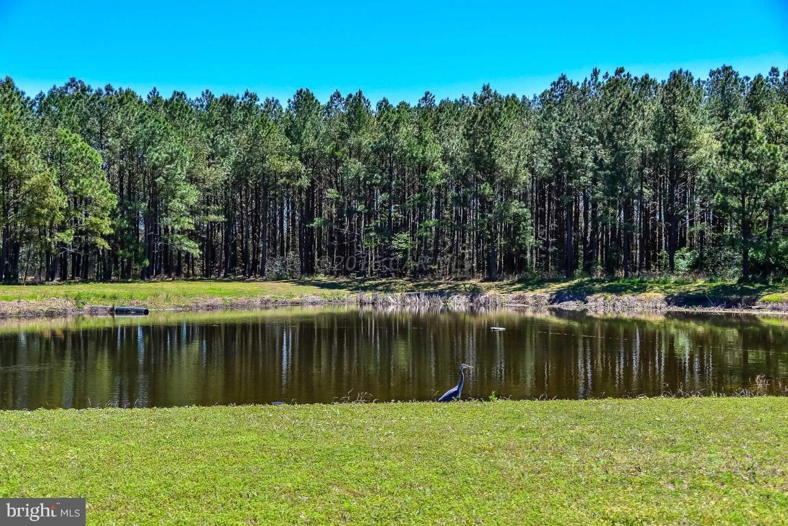 OCEAN PINES - HARBOR VILLAGE - Residential