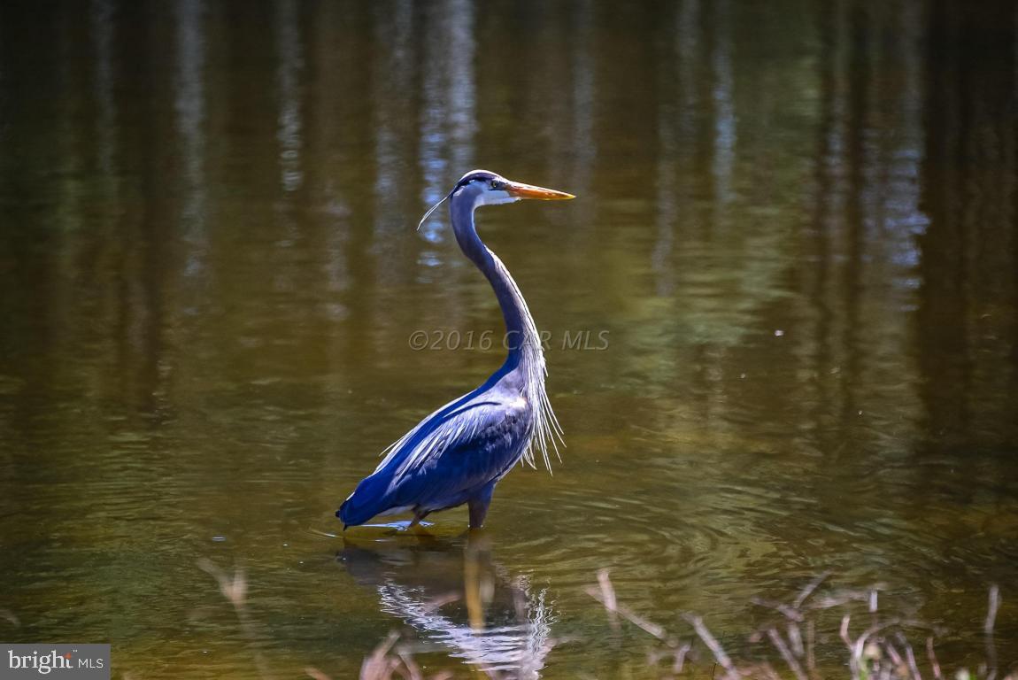 OCEAN PINES - HARBOR VILLAGE - Residential