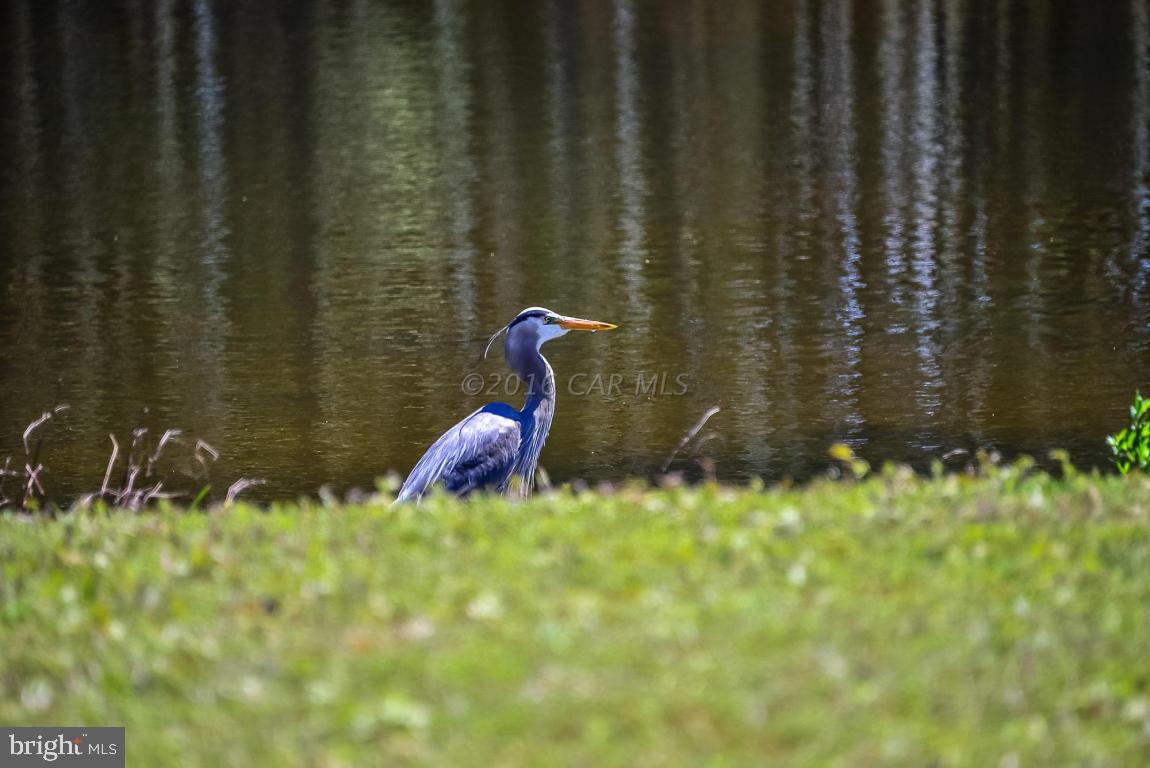 OCEAN PINES - HARBOR VILLAGE - Residential