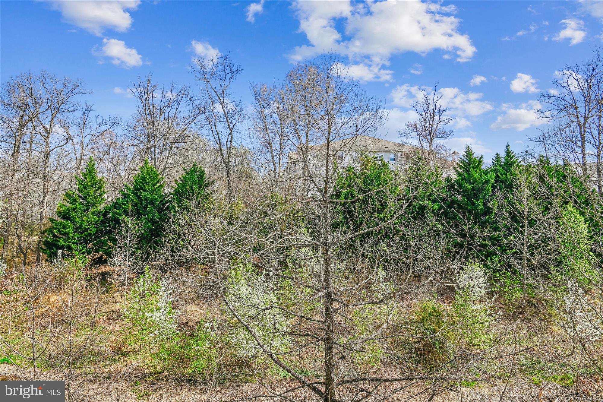 VILLAGE AT WAUGH CHAPEL - Residential
