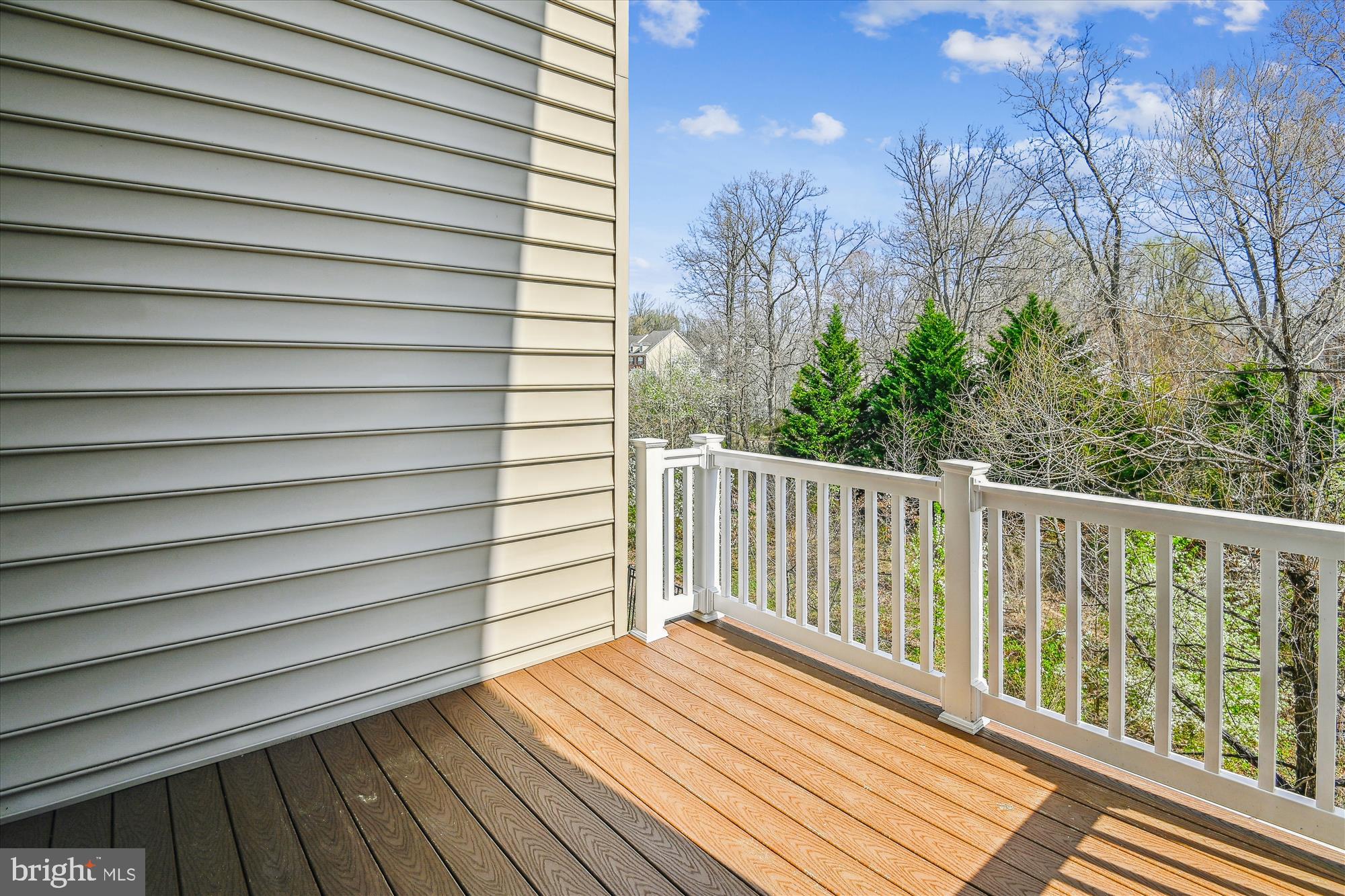 VILLAGE AT WAUGH CHAPEL - Residential