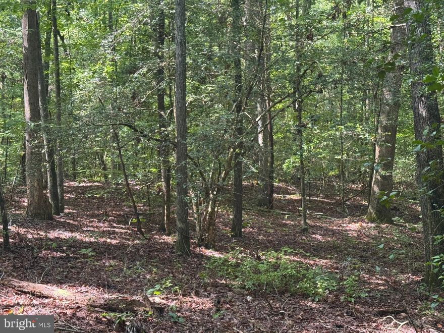 Are you looking for some privacy and space to build your own Dream Home? Check out this 11.07 wooded Acres in country setting with water access to Purkins Lake, a beautiful 15 Acre Lake well-stocked with largemouth bass, crappie & brim for all the family to enjoy ! Sizable property with mature trees to create a tranquil setting to enjoy nature and all the wildlife that abound. Homesite location would be perfect for a walkout basement. If you are downsizing, build a "tiny house" as there are no square footage restrictions. Common area of Lake is perfect for a picnic with the family & launching your watercraft for a day on the water. Bowhunting is allowed and deer are plentiful with the water supply and woods. No horses or livestock allowed.  Minutes to Rt. 360 for commute to Richmond, Watts Supermarket close by for supplies and approximately 8 Miles to Town of Tappahannock for Town's amenities, shops, restaurants, Golf Course, Marina & public boat ramp for access to the Rappahannock River, health care facilities and VCU Health Tappahannock Hospital. Just 45 minutes from Richmond, an hour from Fredericksburg and 1.5 Hrs. to D. C. & Colonial Williamsburg. Soilwork for a 4 Bedroom Conventional Septic.