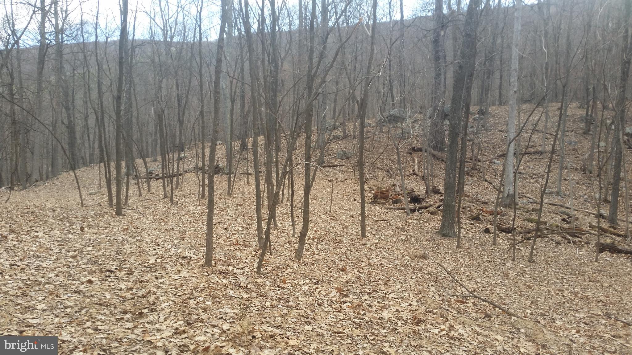 CACAPON RIVER COLONY - Land