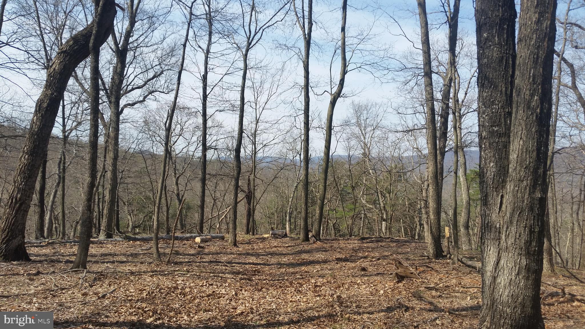 CACAPON RIVER COLONY - Land