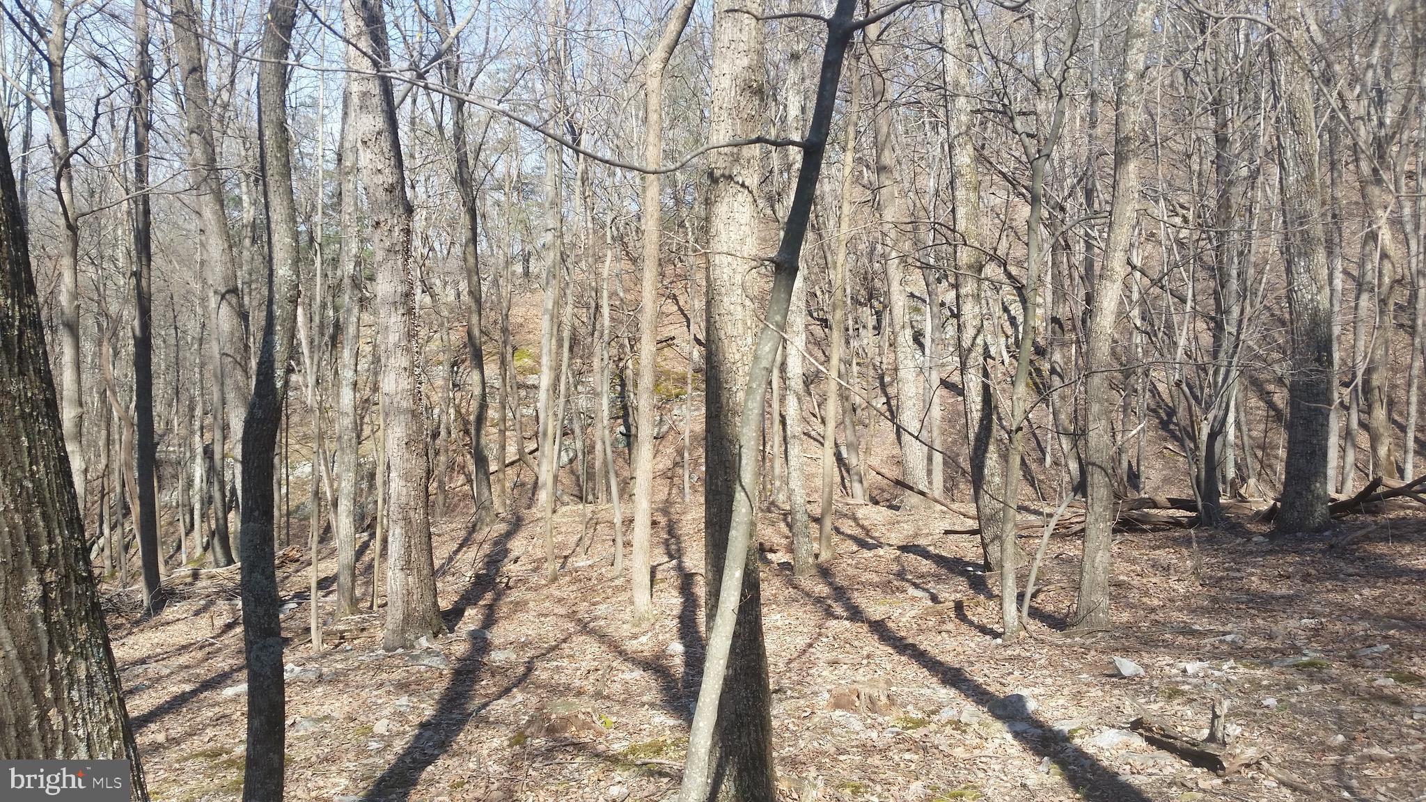 CACAPON RIVER COLONY - Land