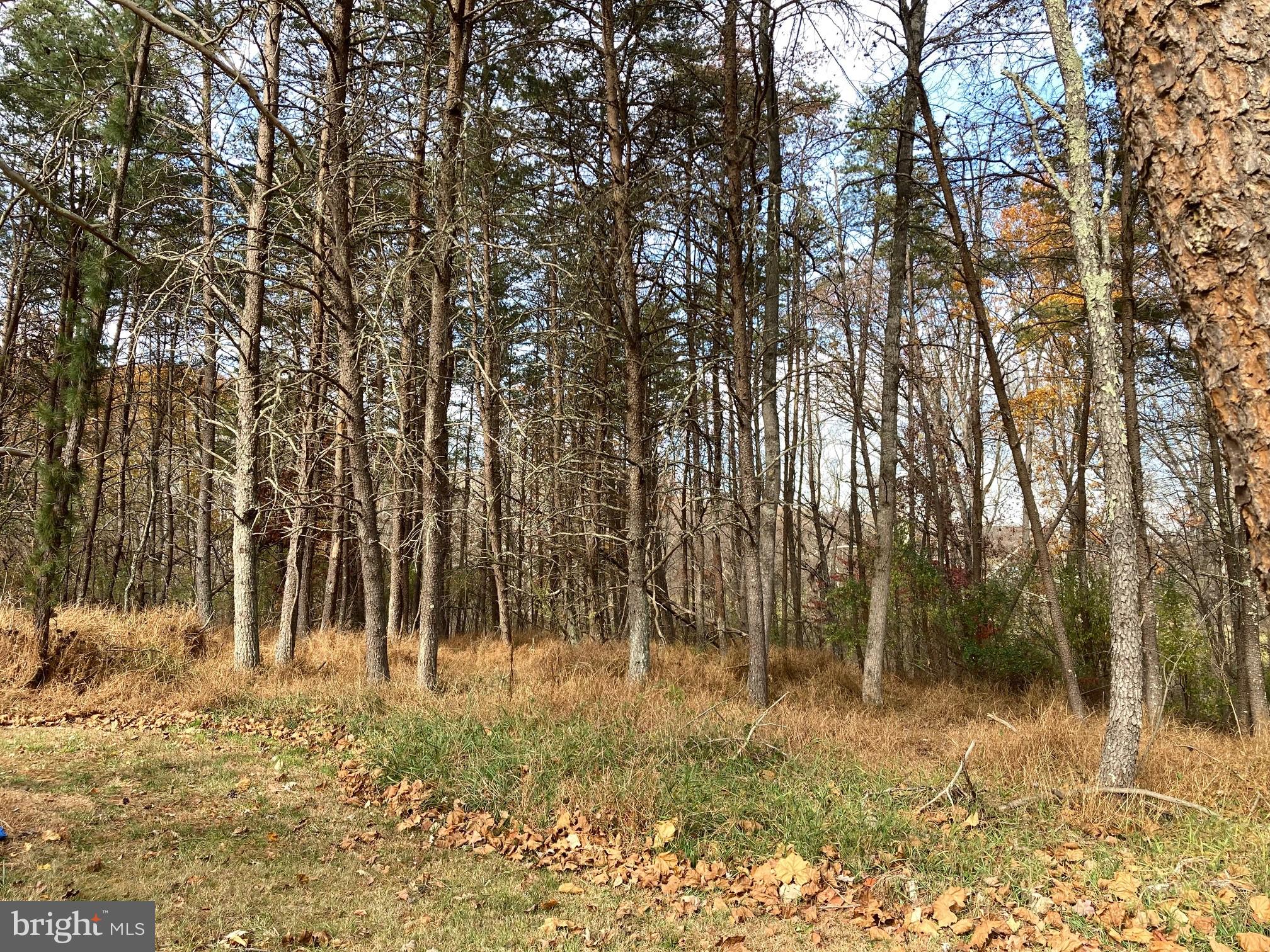 OLD MORGAN FARMS - Residential