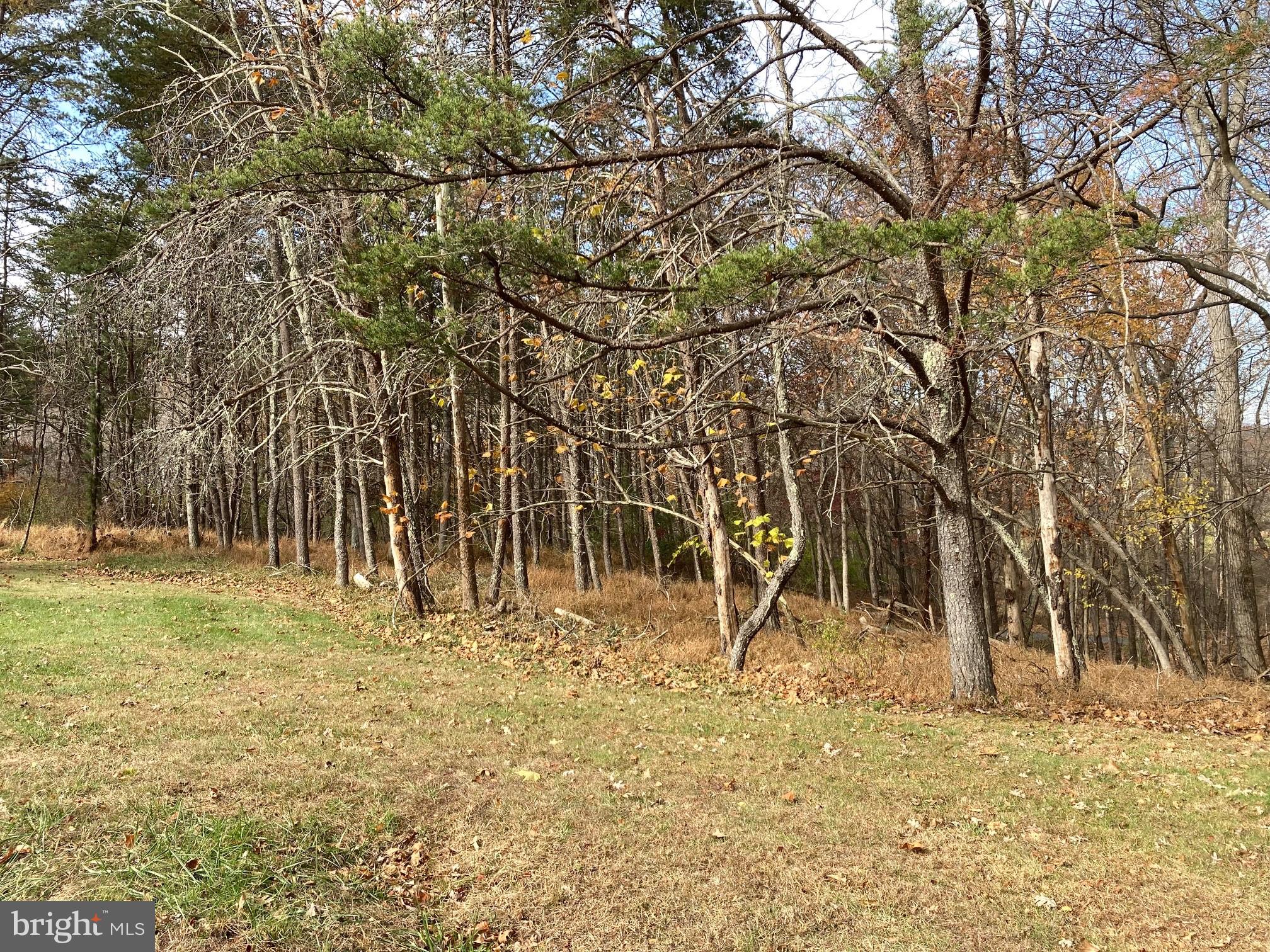 OLD MORGAN FARMS - Residential