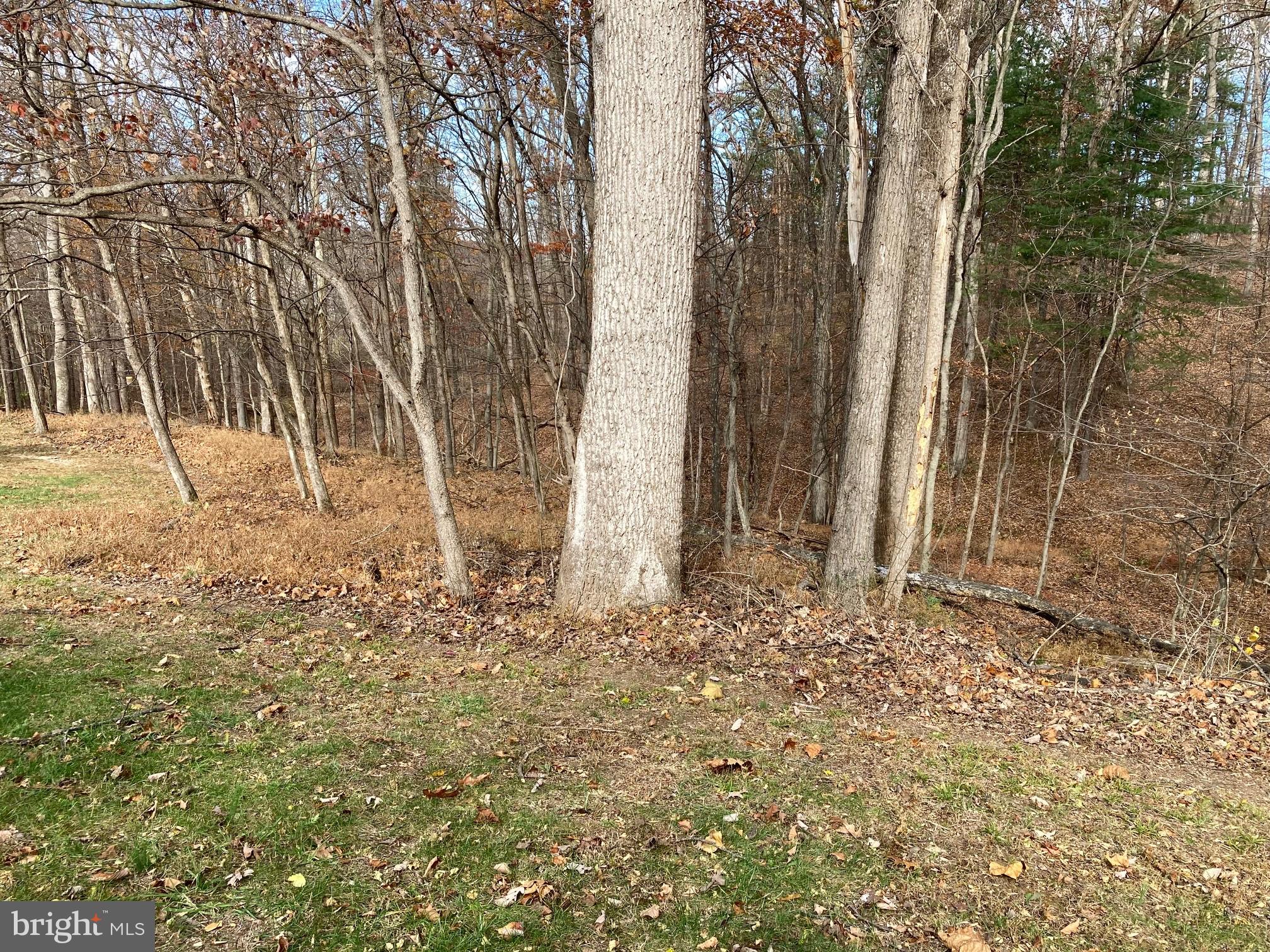 OLD MORGAN FARMS - Residential