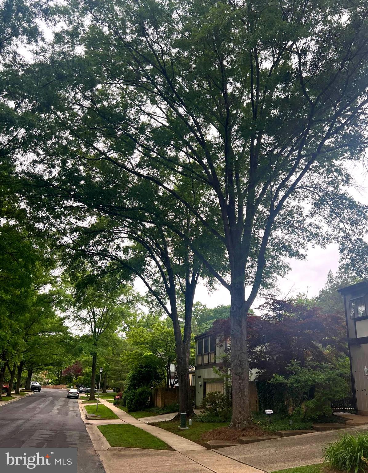 COURTS OF WYNGATE - Residential