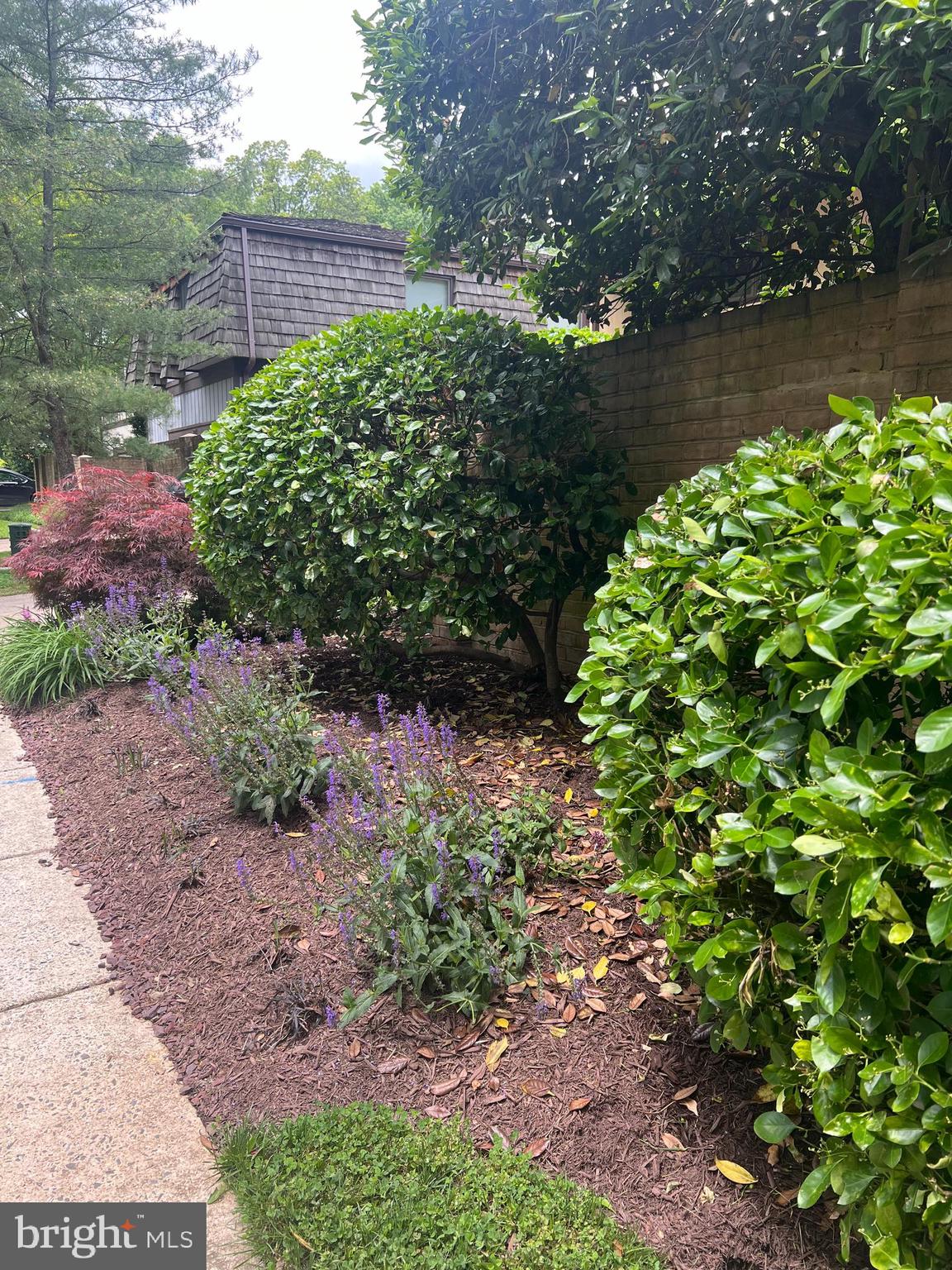 COURTS OF WYNGATE - Residential