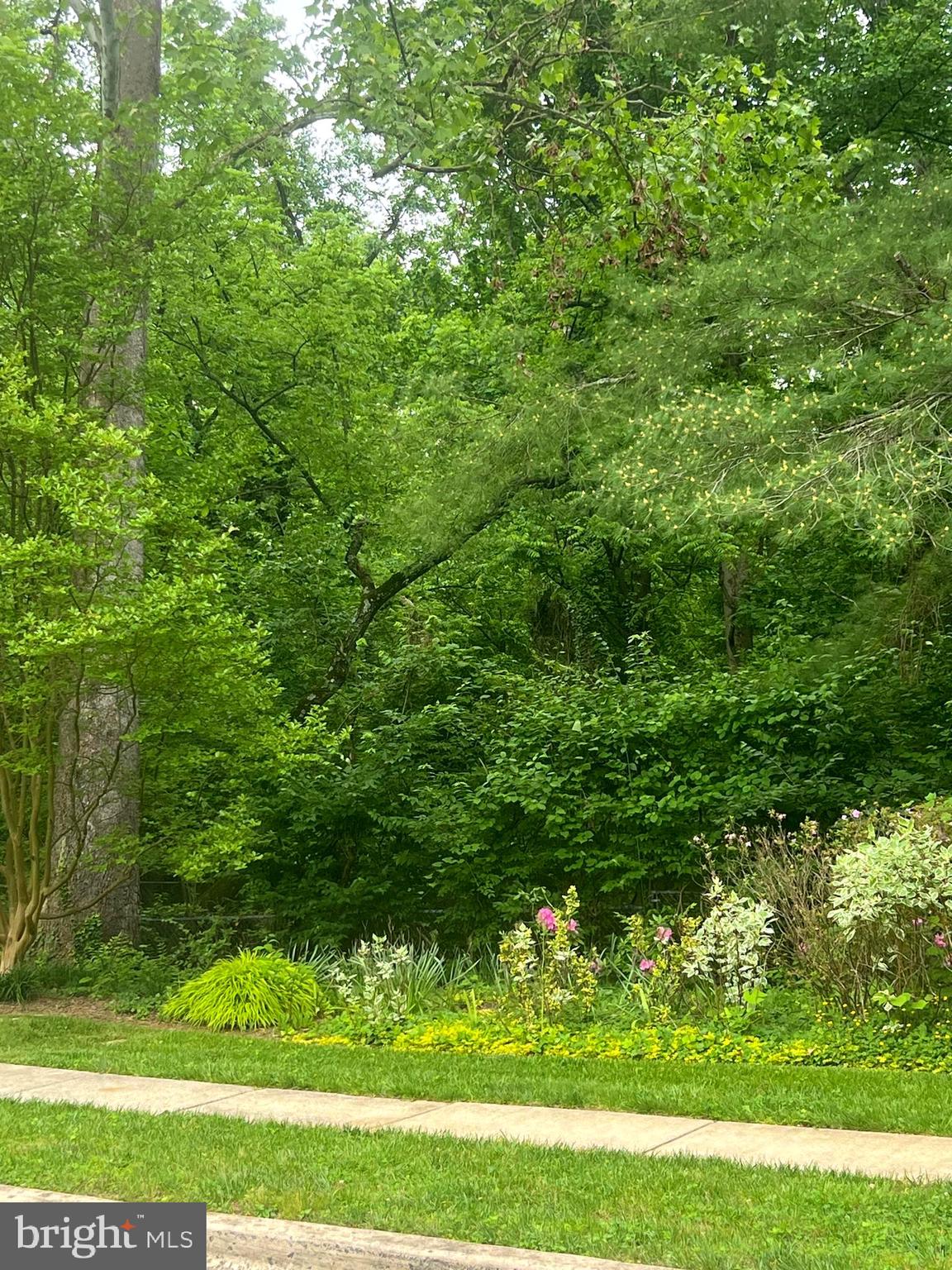 COURTS OF WYNGATE - Residential