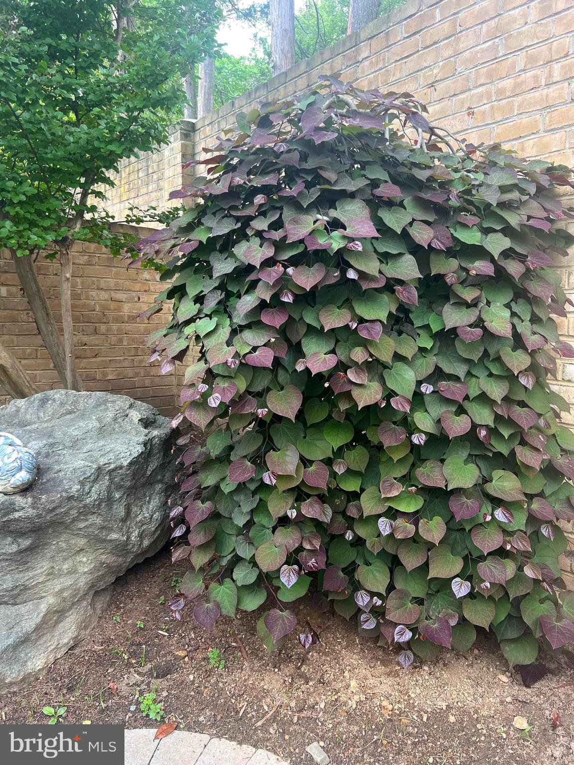 COURTS OF WYNGATE - Residential