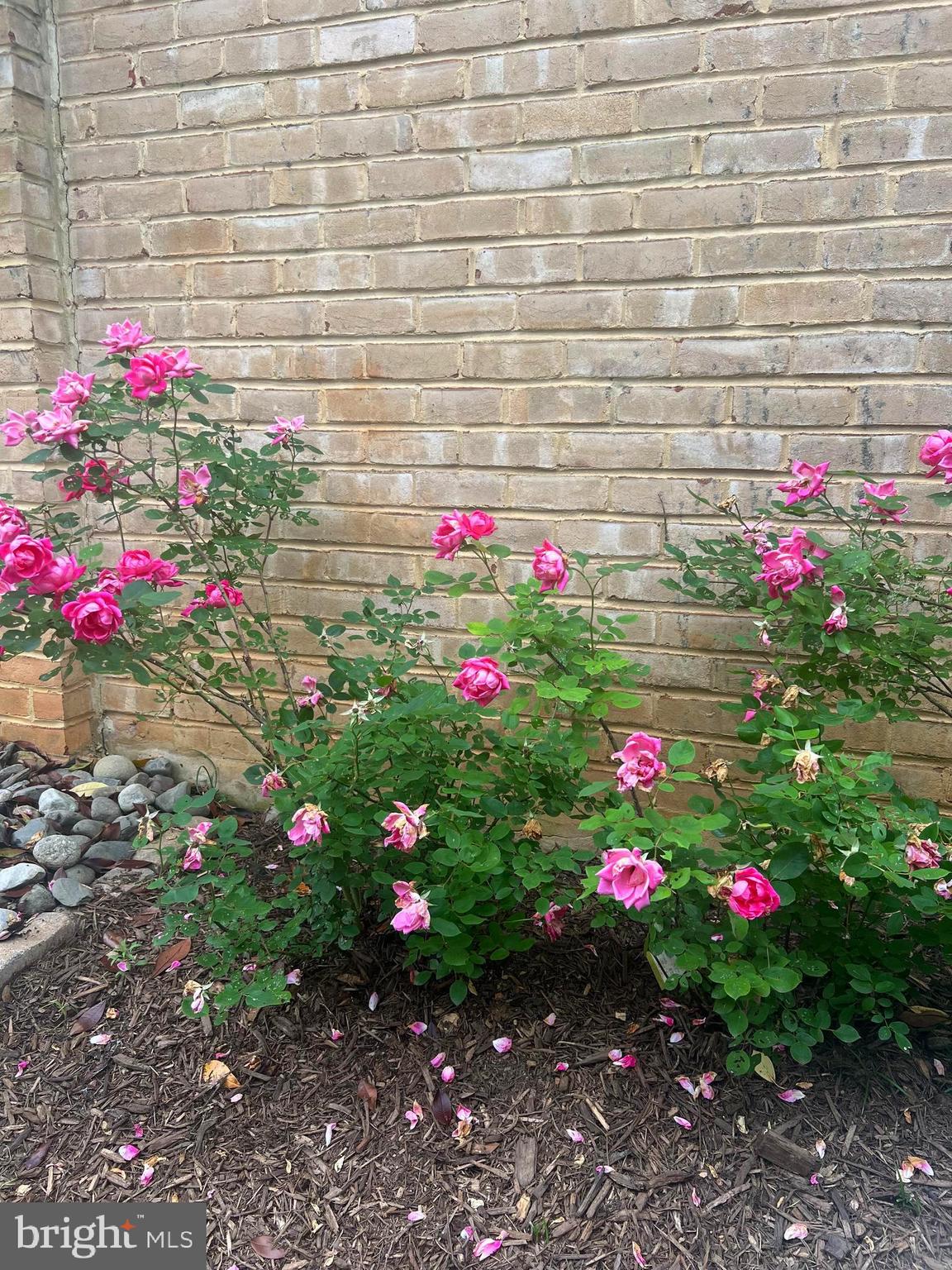 COURTS OF WYNGATE - Residential