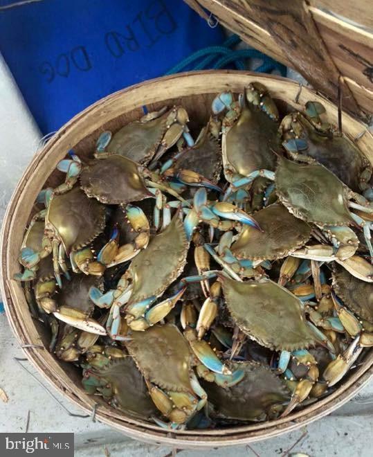 AMBRIDGE - Residential