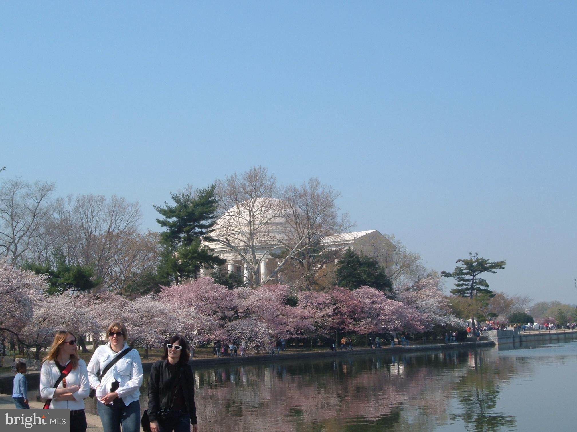 AMBRIDGE - Residential