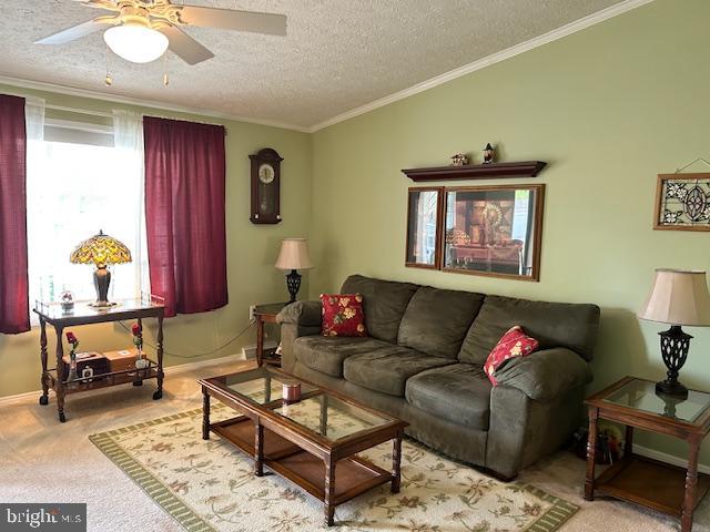 501 MUSKET RIDGE ROAD
