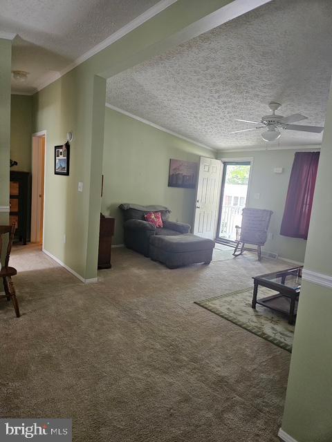 501 MUSKET RIDGE ROAD