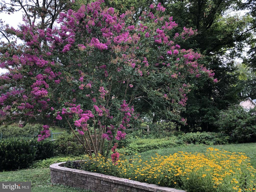 MEADOWOOD - Residential