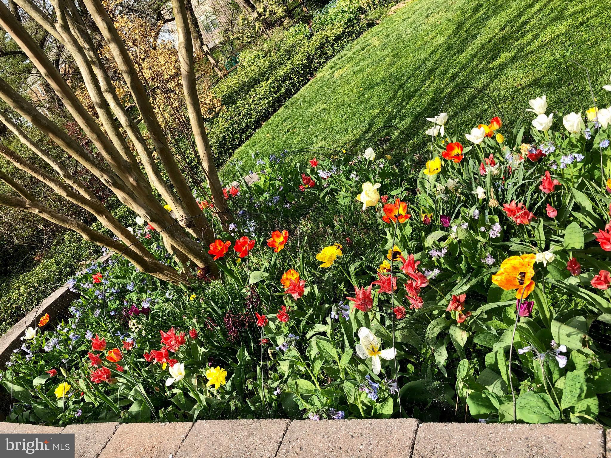 MEADOWOOD - Residential