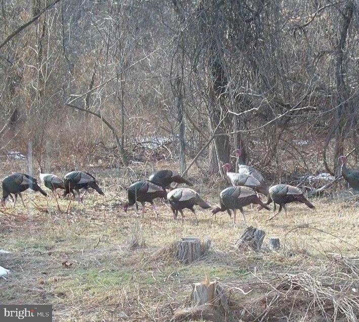 QUAKER LAKE SUBDIVISION - Land