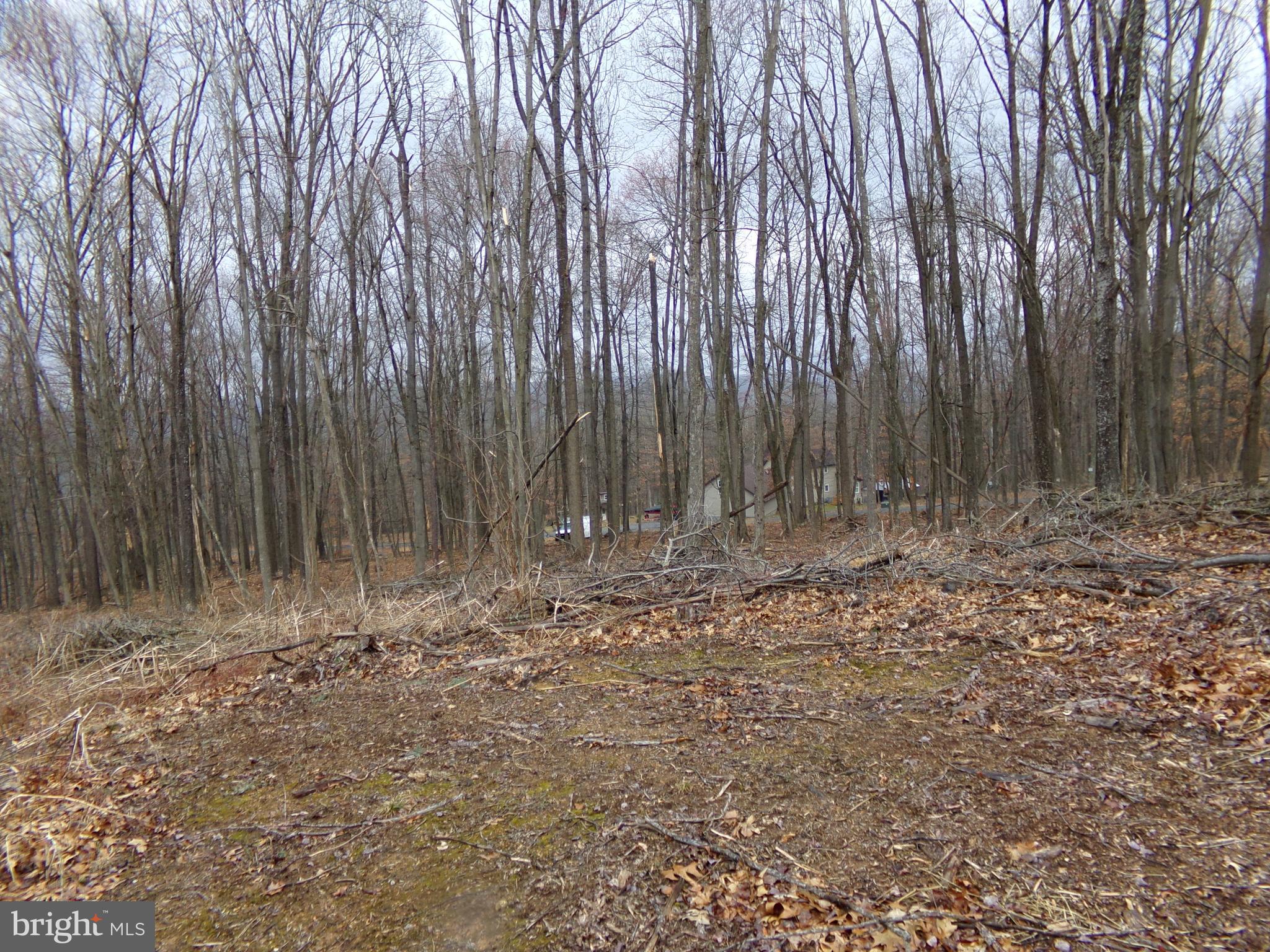 QUAKER LAKE SUBDIVISION - Land