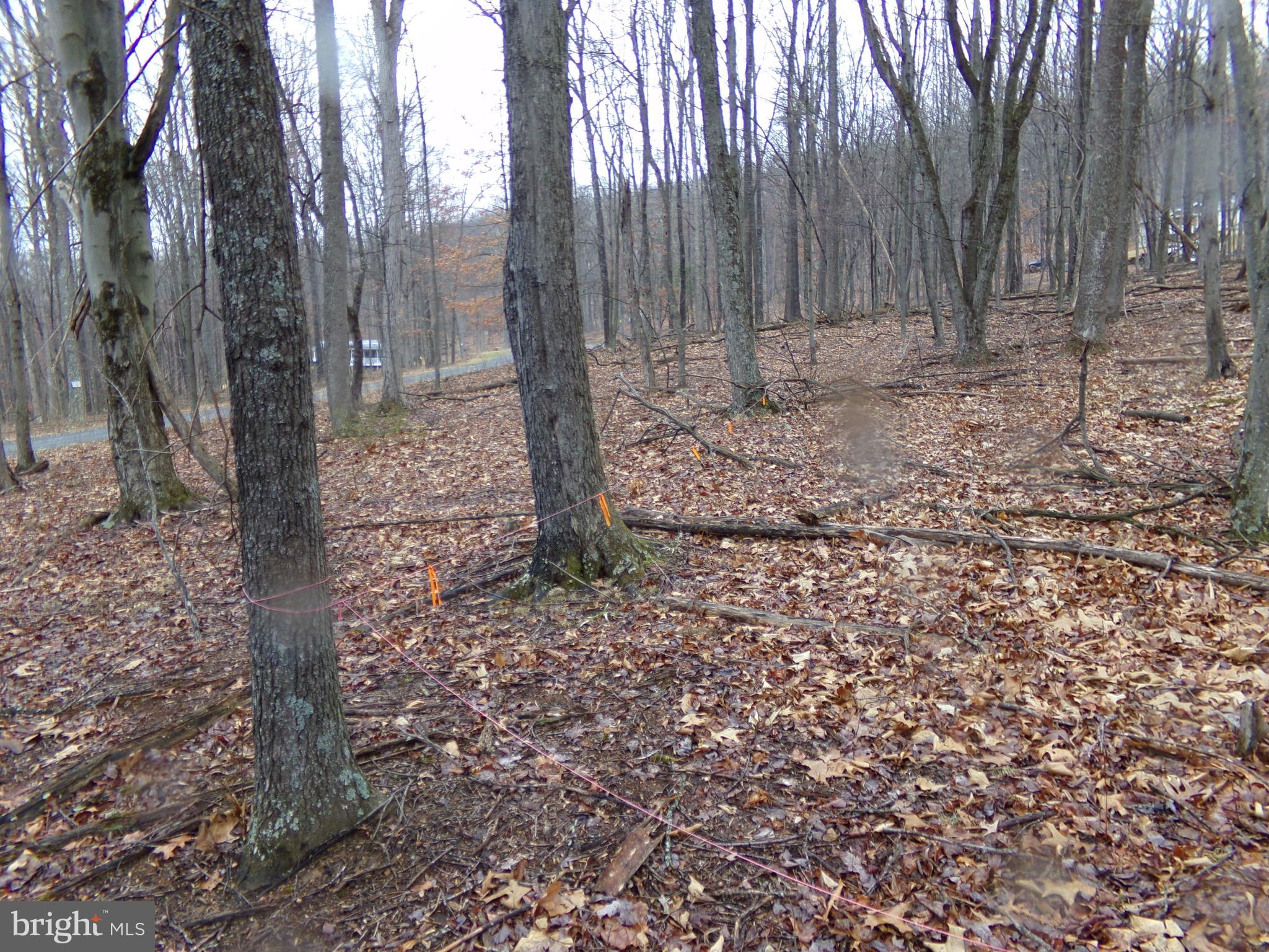 QUAKER LAKE SUBDIVISION - Land