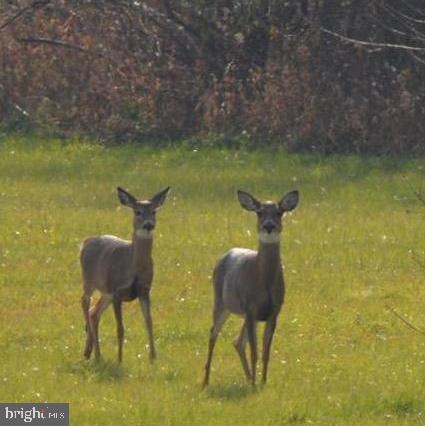 QUAKER LAKE SUBDIVISION - Land
