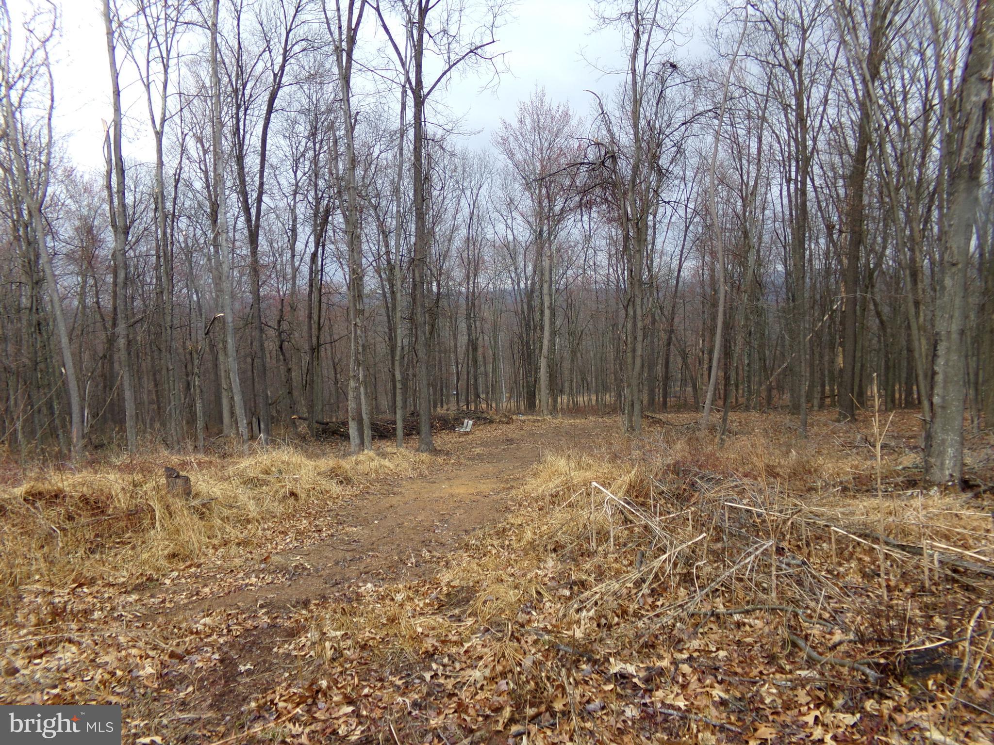 QUAKER LAKE SUBDIVISION - Land