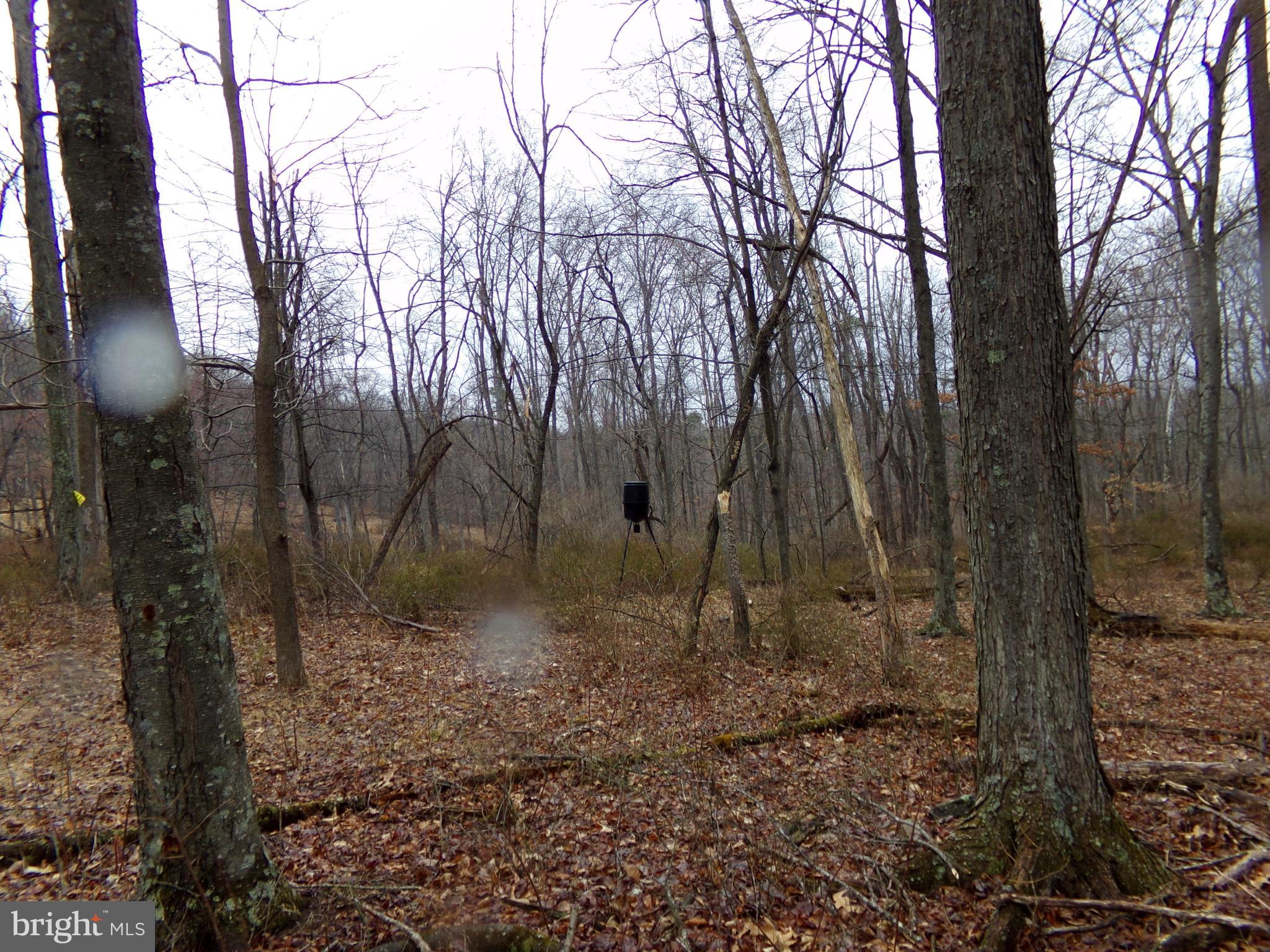 QUAKER LAKE SUBDIVISION - Land