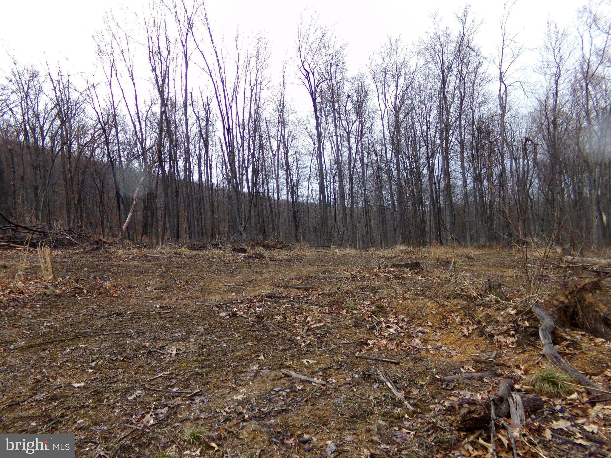 QUAKER LAKE SUBDIVISION - Land