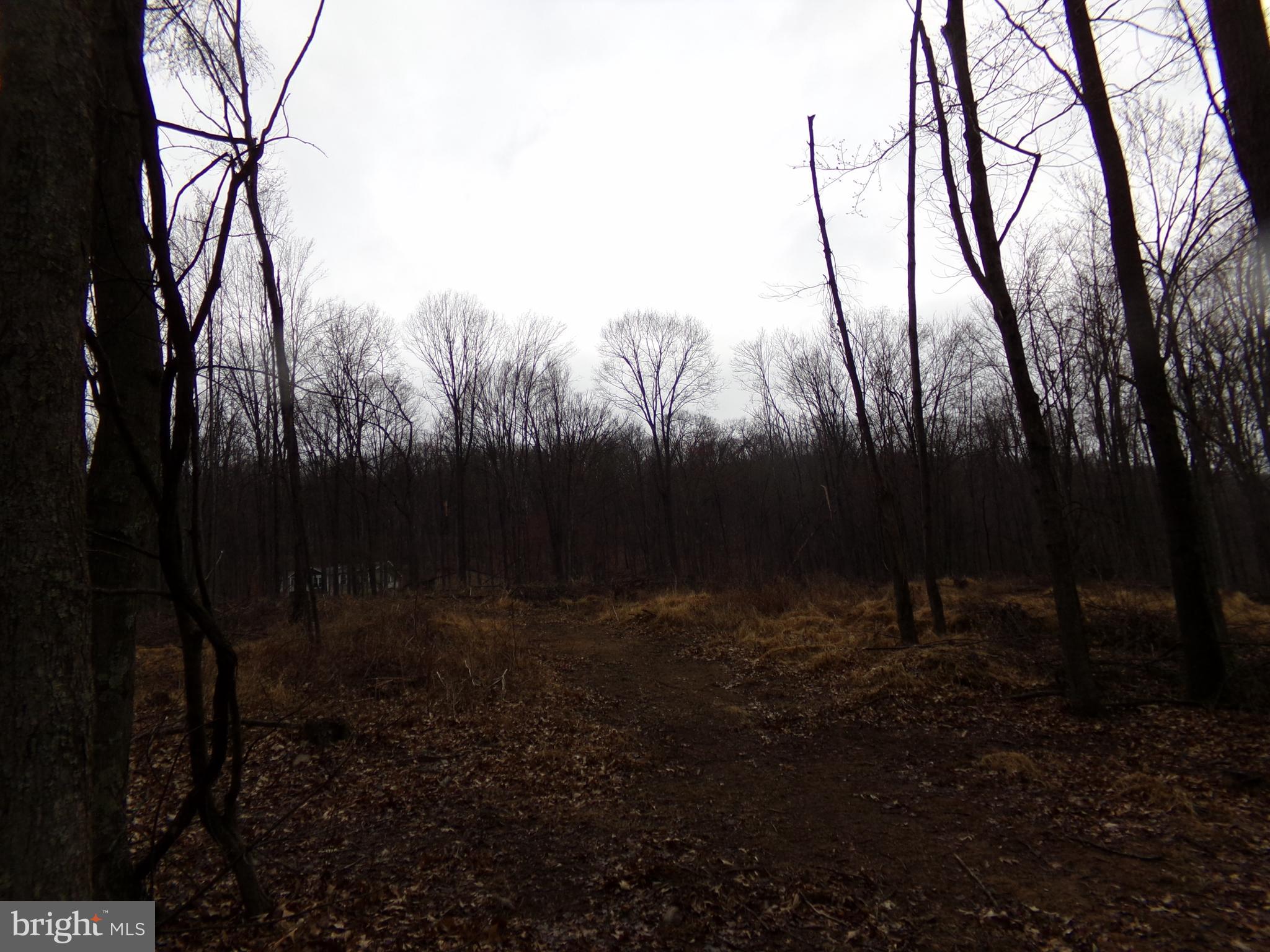 QUAKER LAKE SUBDIVISION - Land