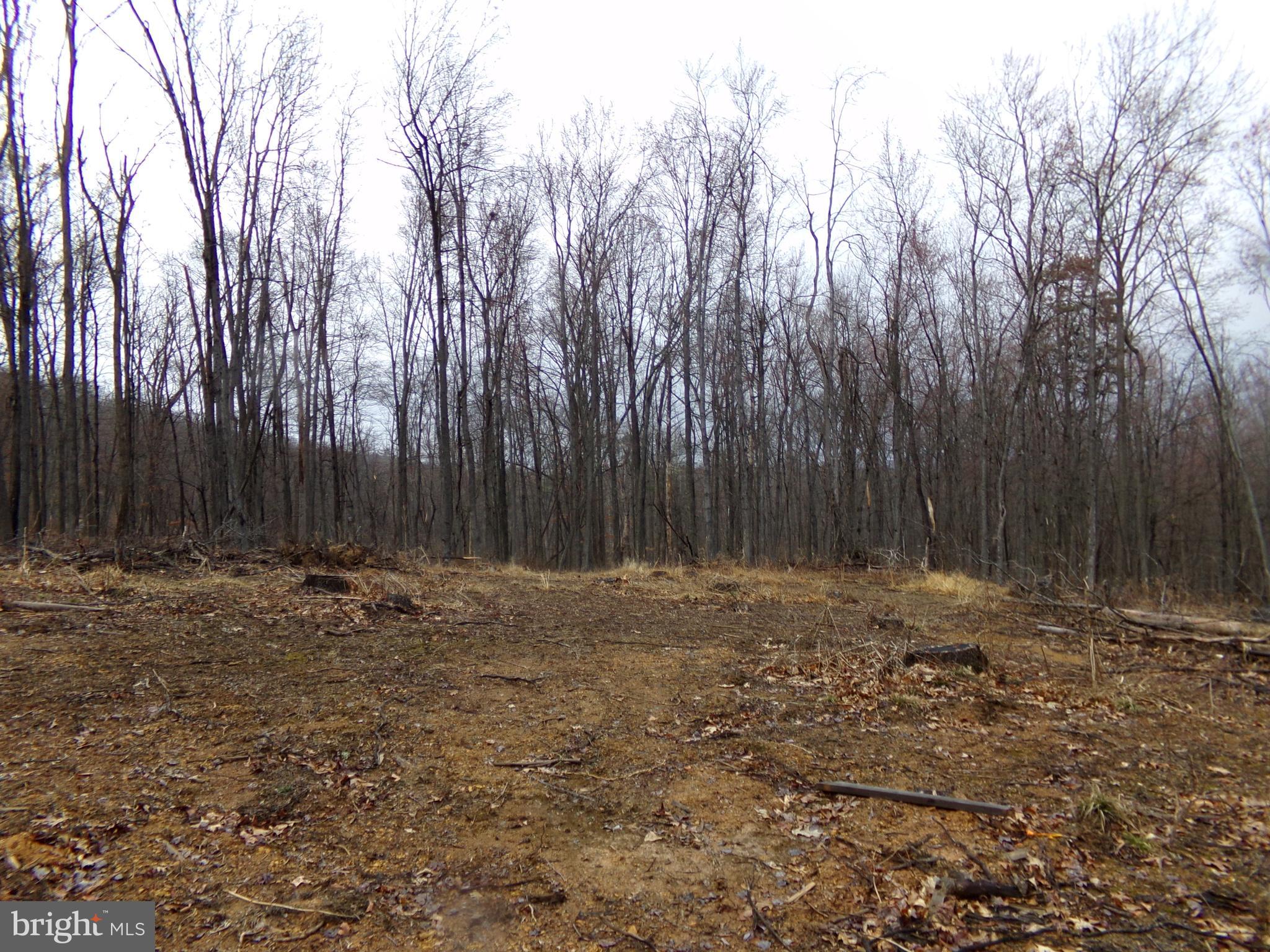 QUAKER LAKE SUBDIVISION - Land