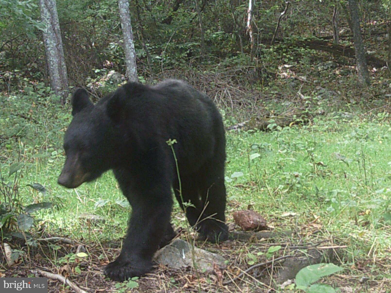 QUAKER LAKE SUBDIVISION - Land