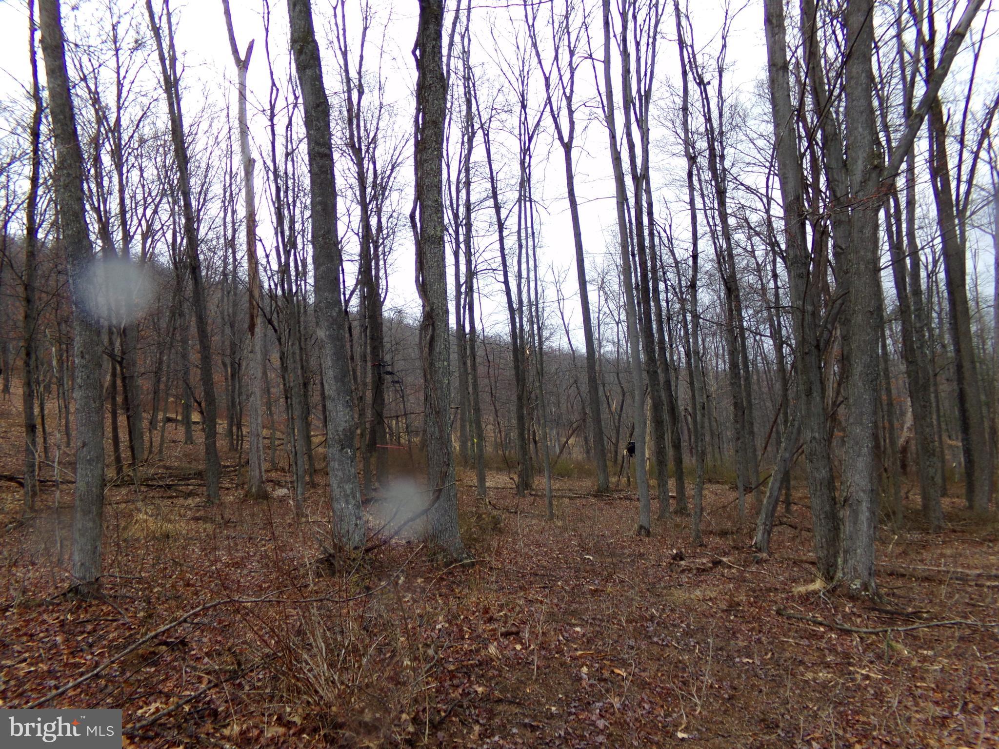 QUAKER LAKE SUBDIVISION - Land