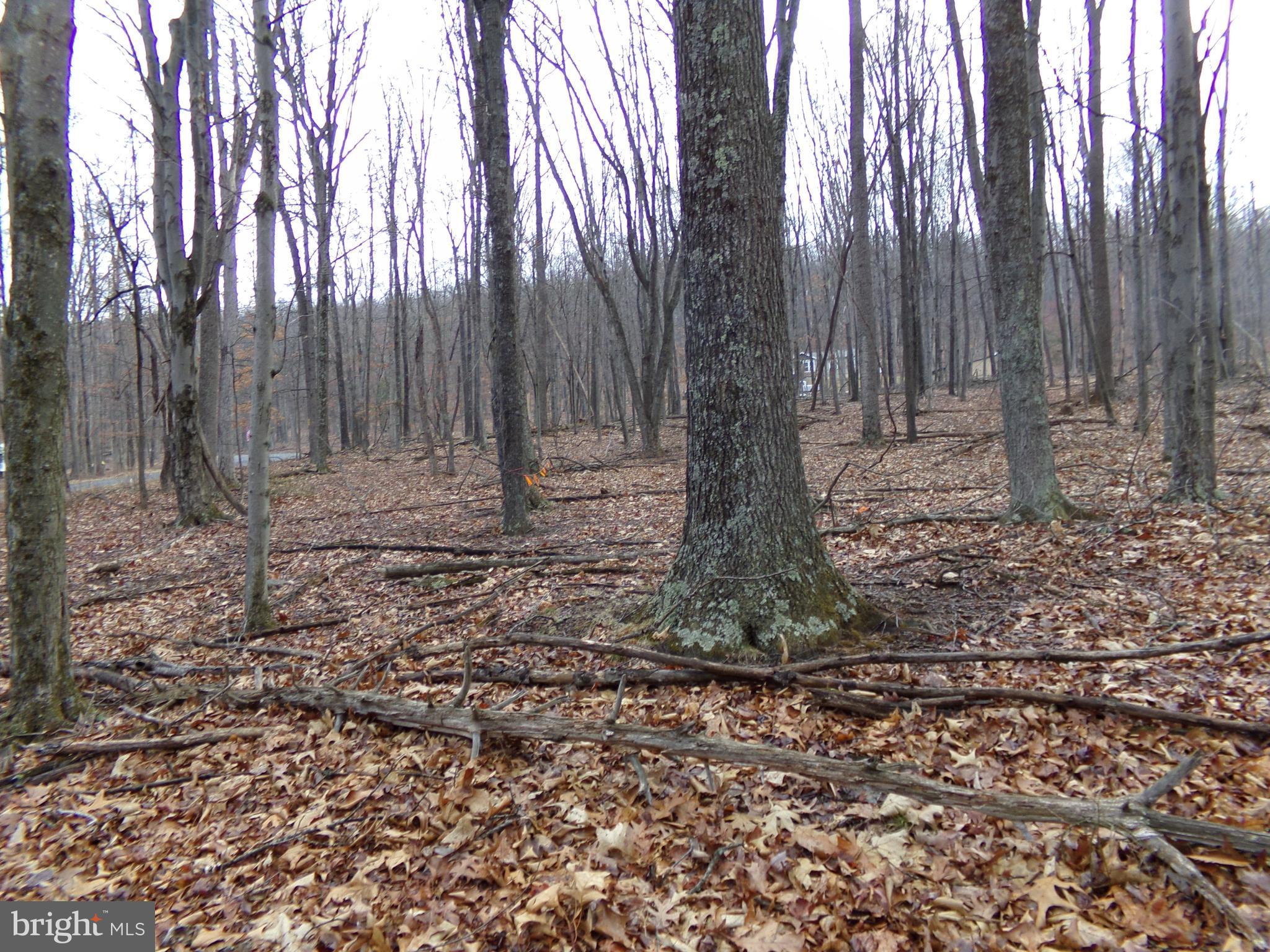 QUAKER LAKE SUBDIVISION - Land