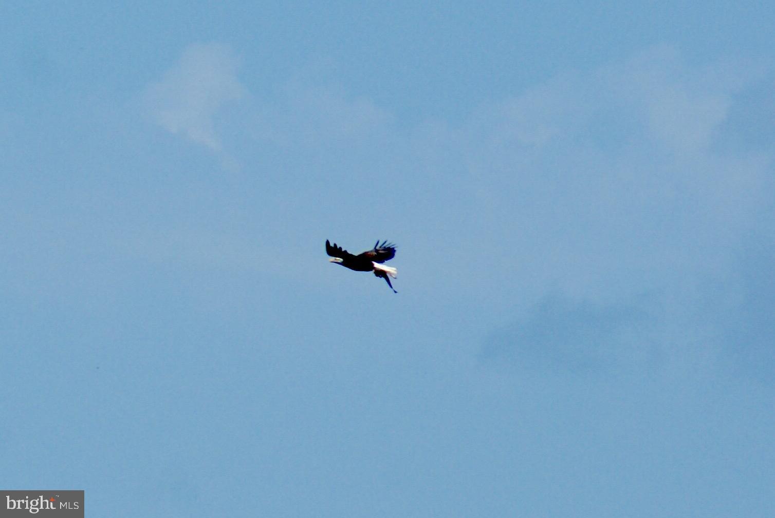 QUAKER LAKE SUBDIVISION - Land