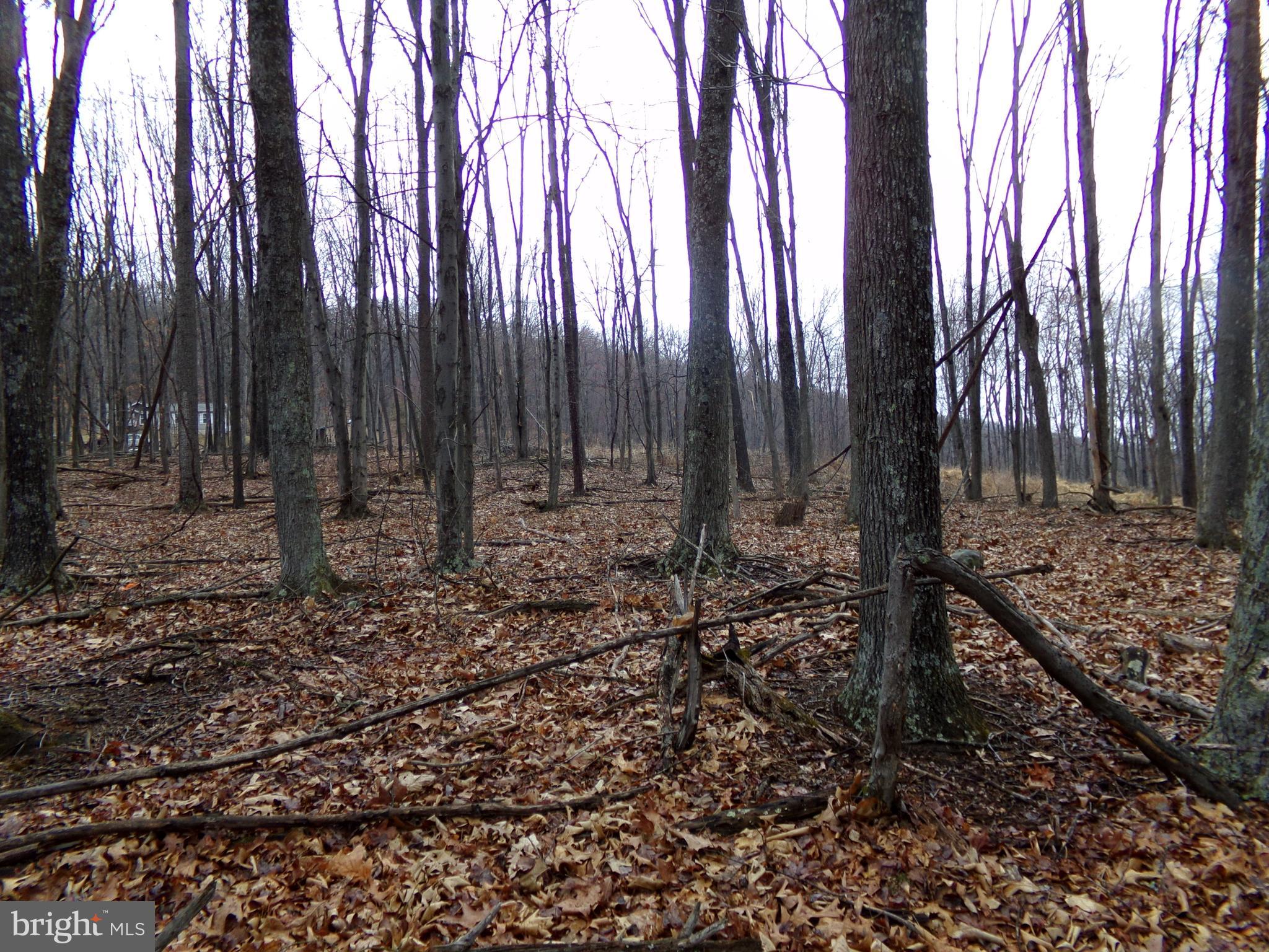 QUAKER LAKE SUBDIVISION - Land
