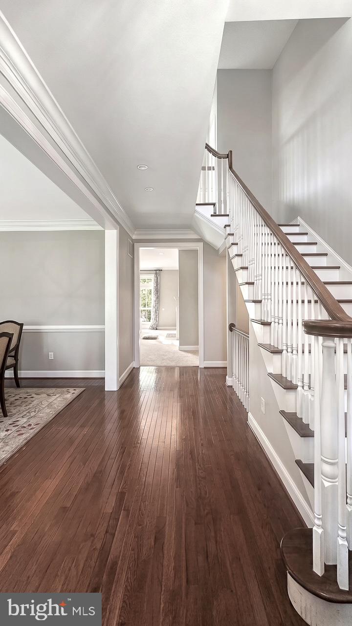 109 BRAEBANK LANE
